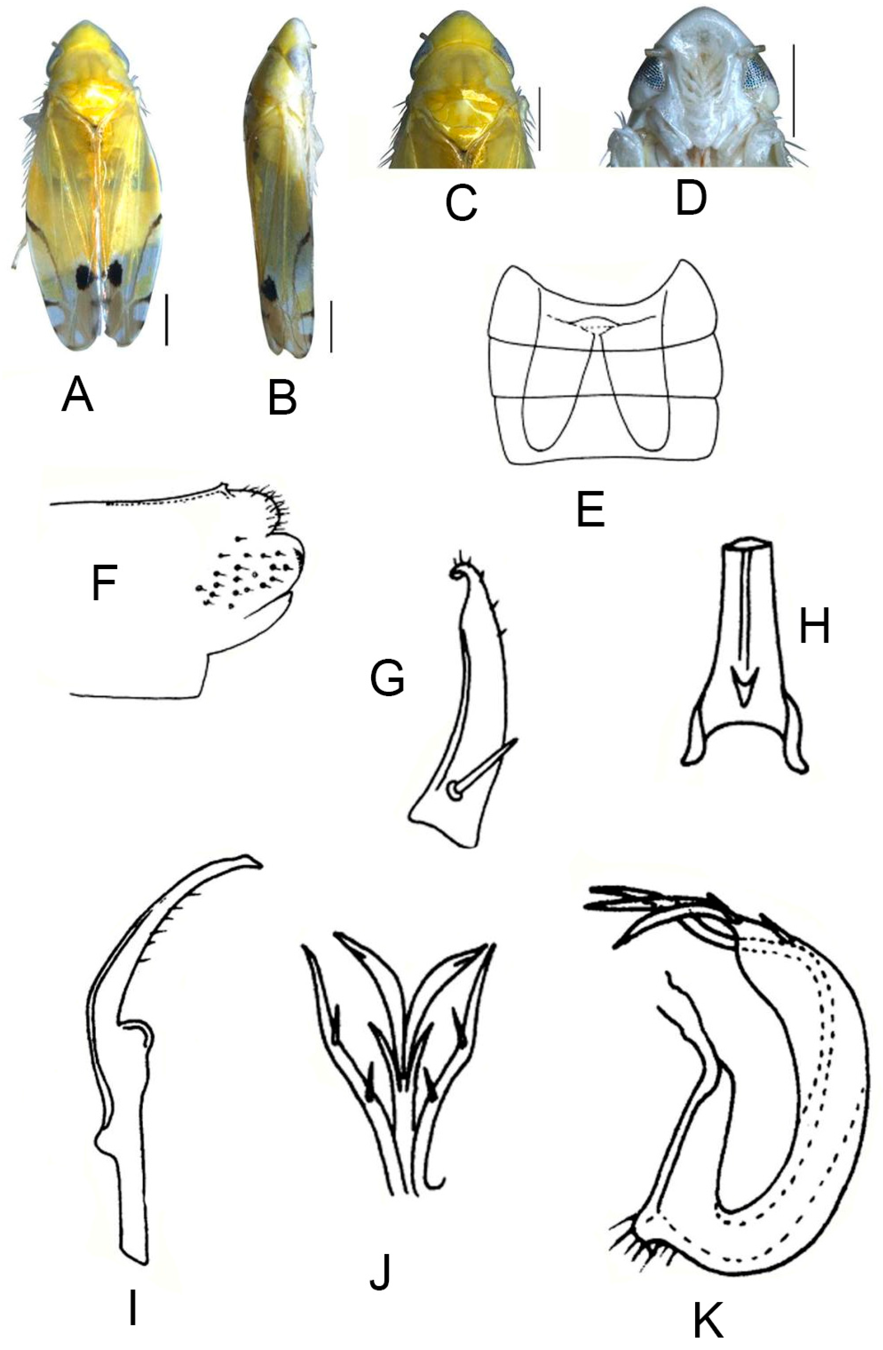 Insects 13 00345 g013 550