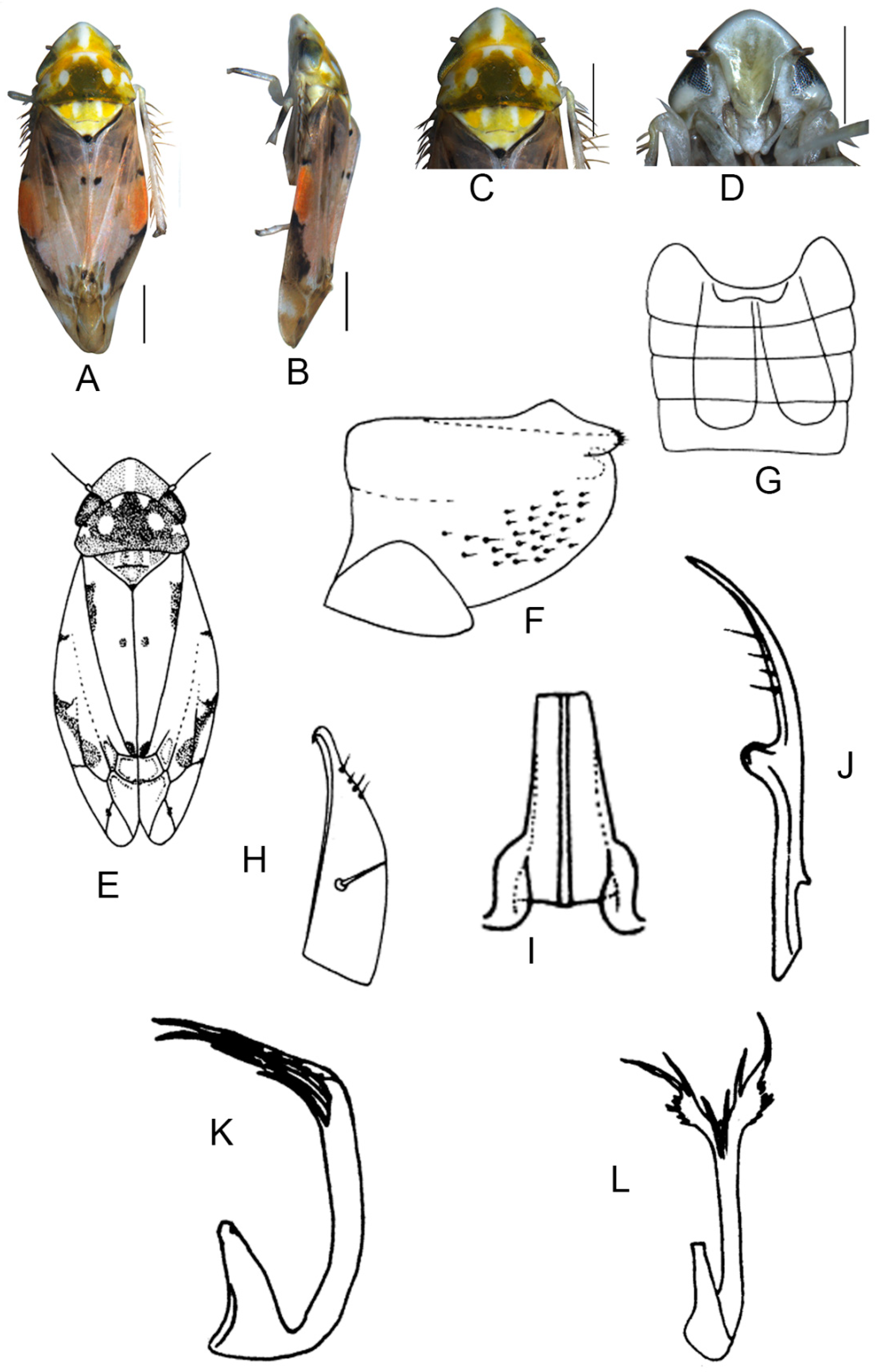 Insects 13 00345 g020 550