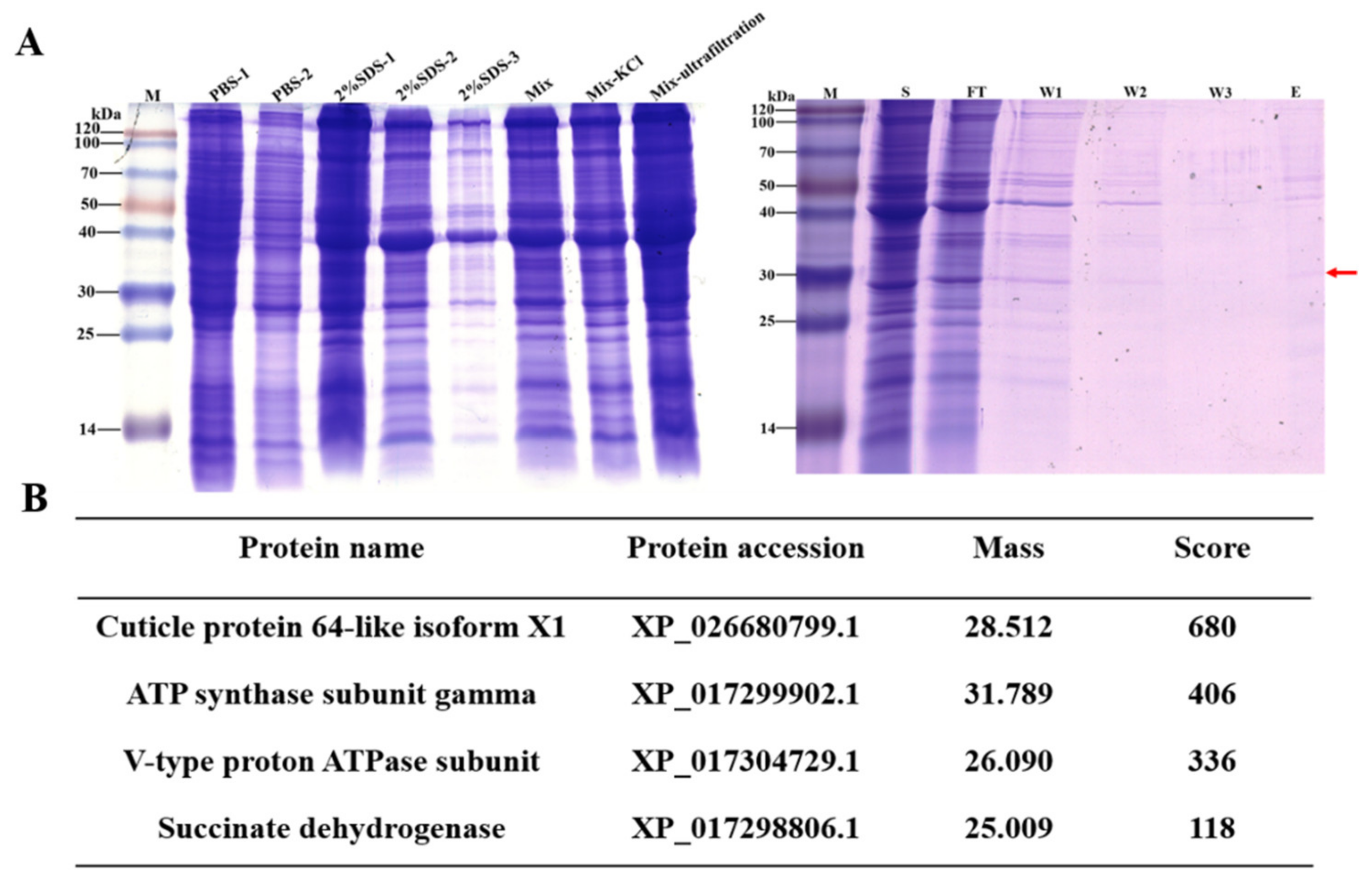 Insects 13 00353 g001