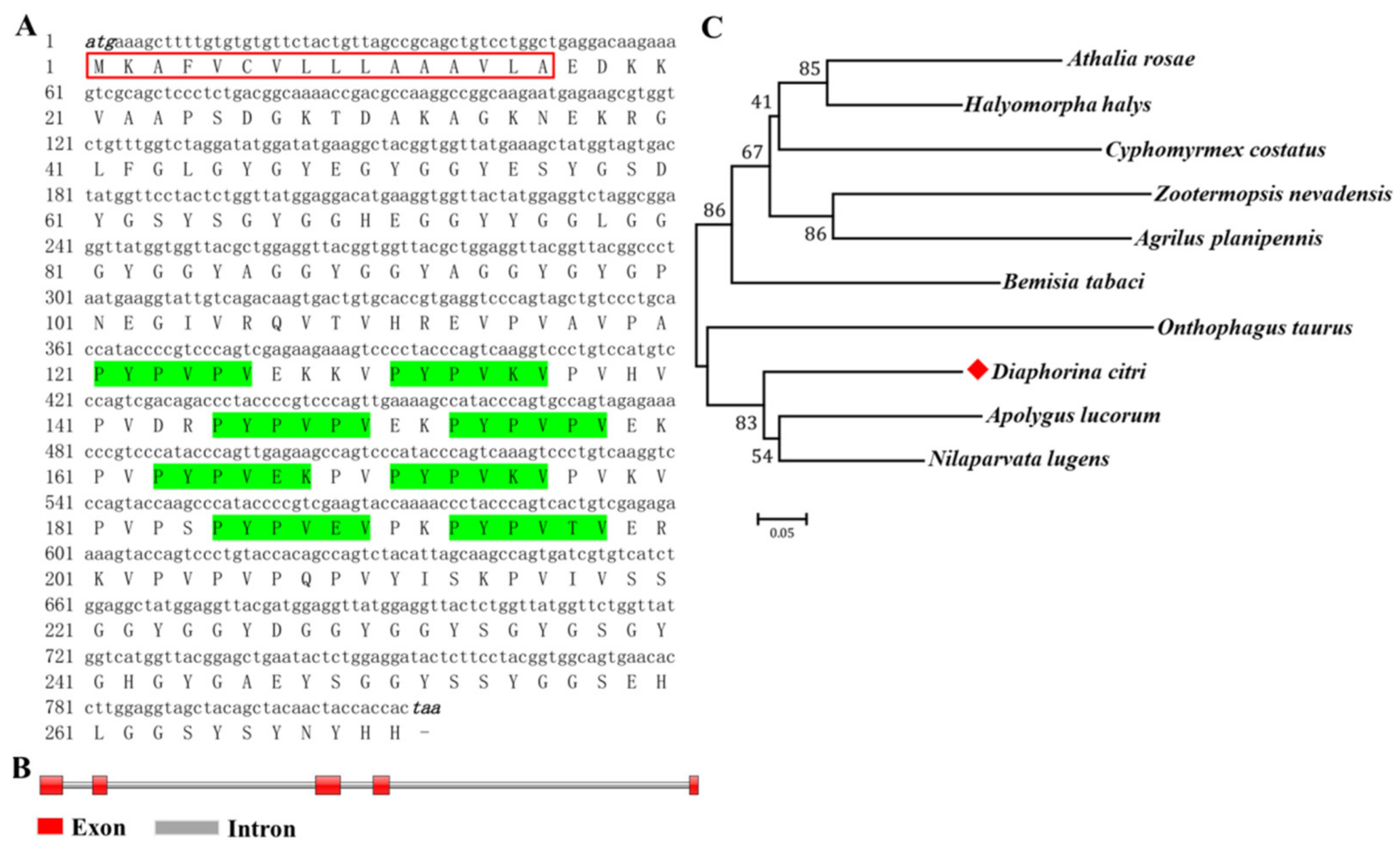 Insects 13 00353 g002