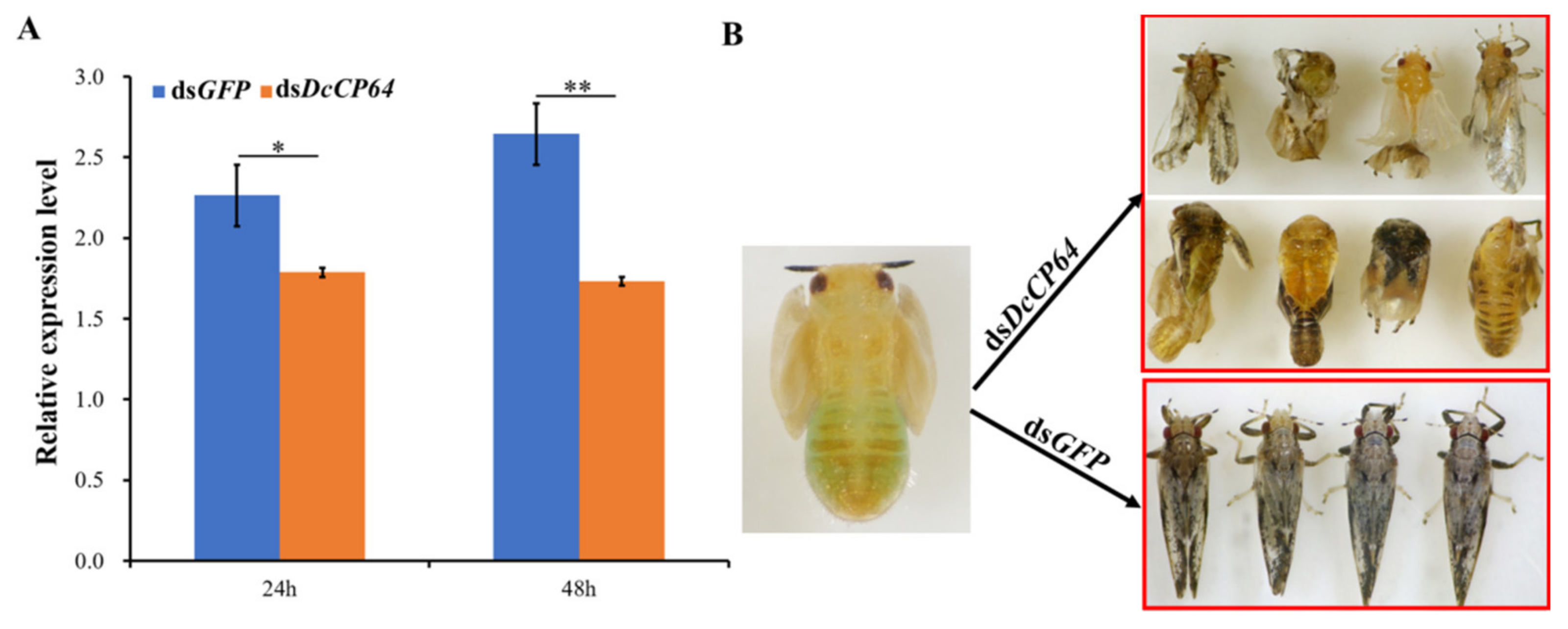 Insects 13 00353 g004