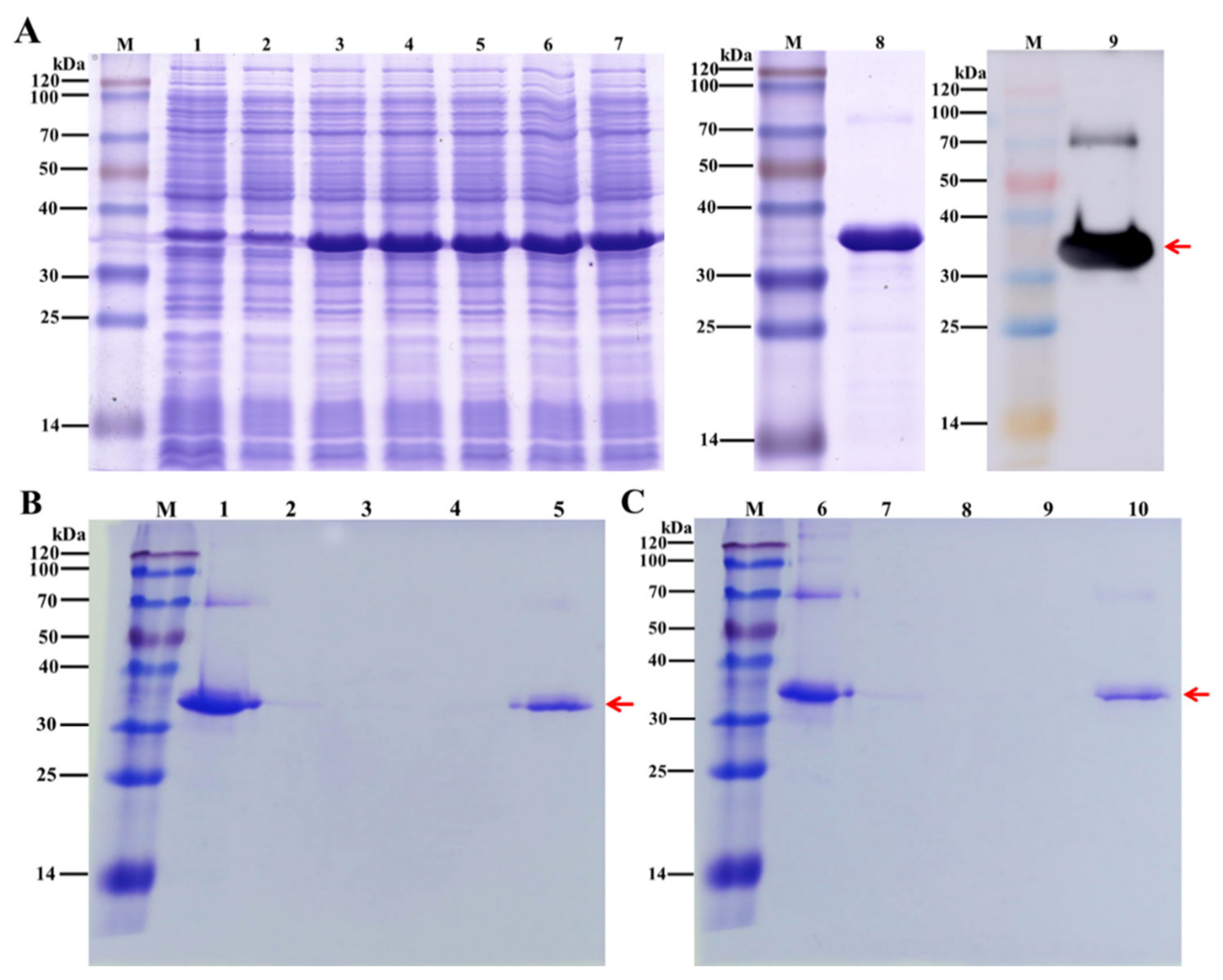 Insects 13 00353 g008