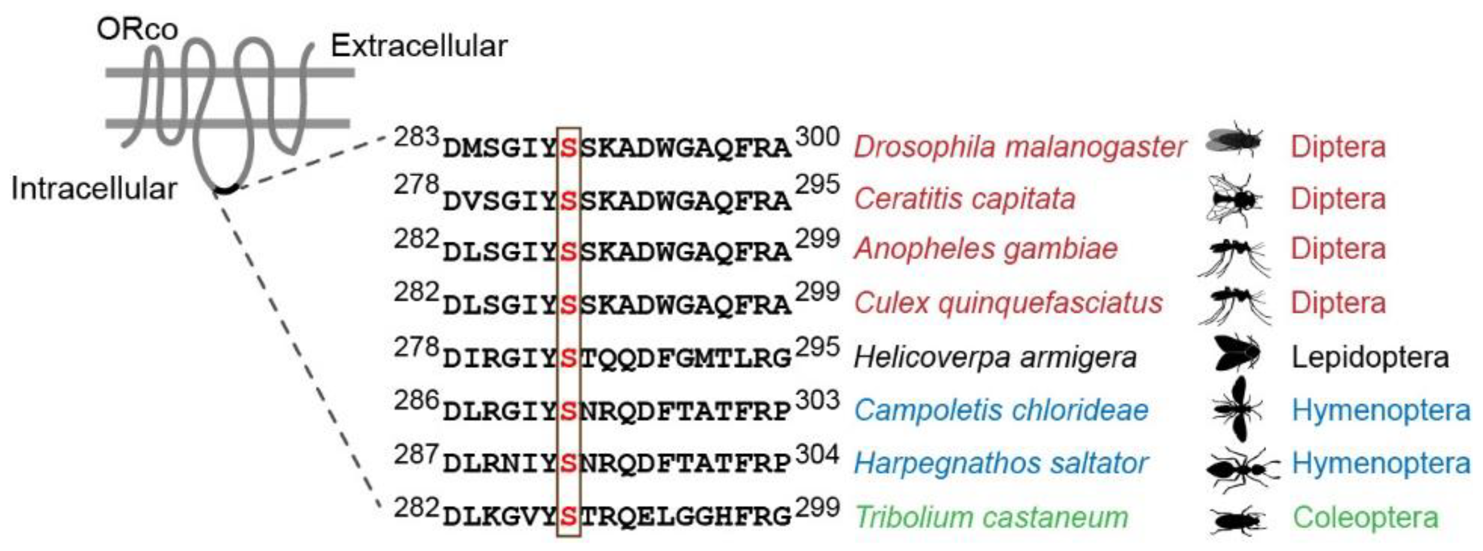 Insects 13 00354 g001 550