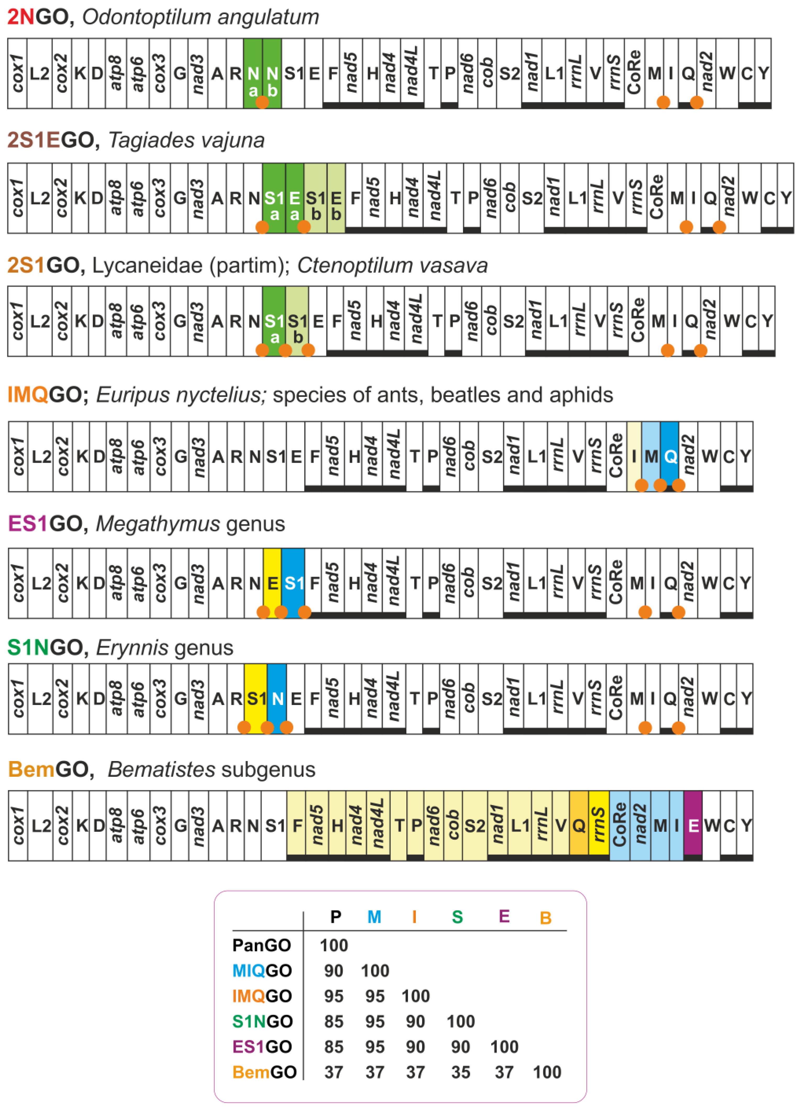 Insects 13 00358 g002