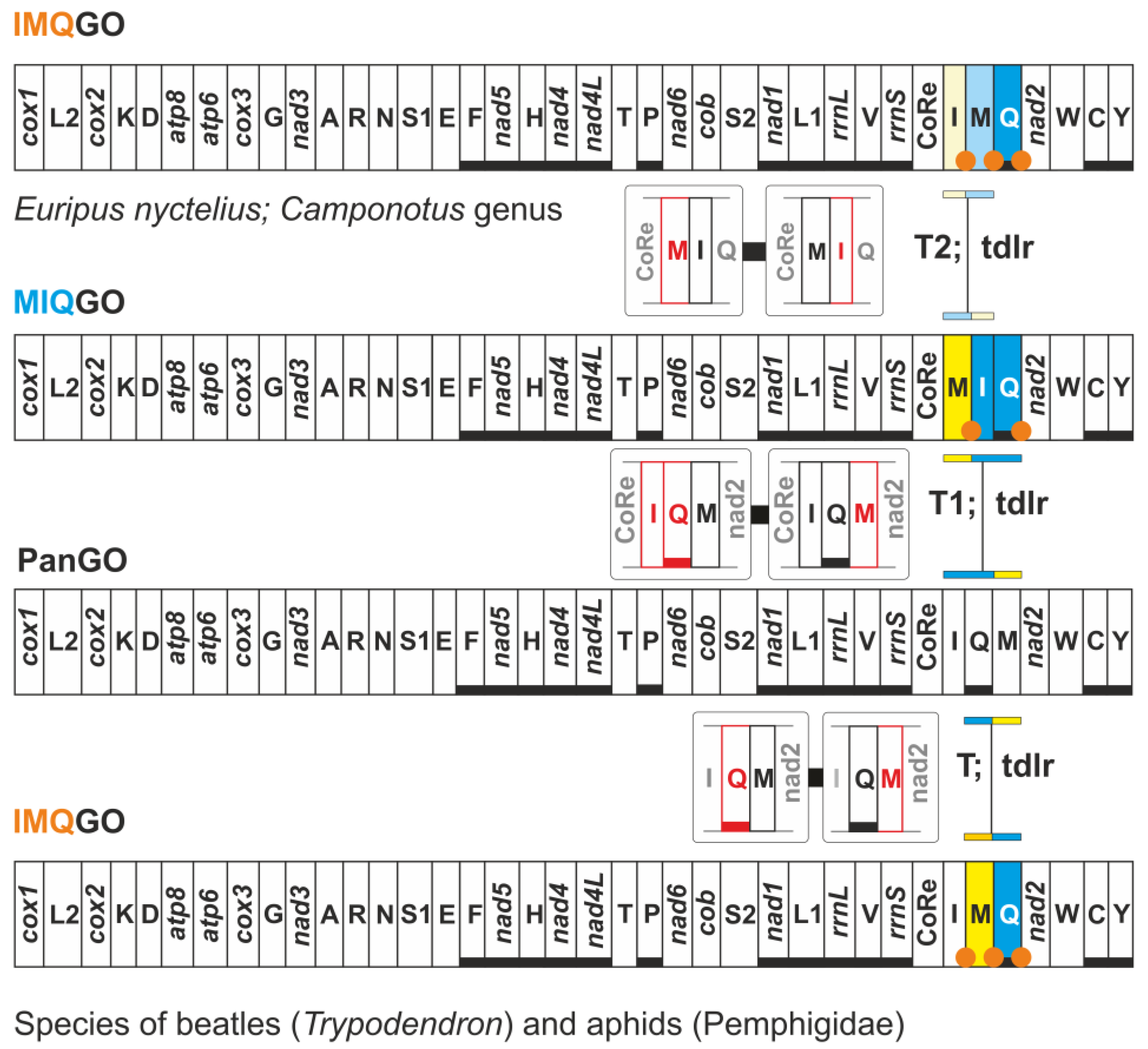 Insects 13 00358 g004