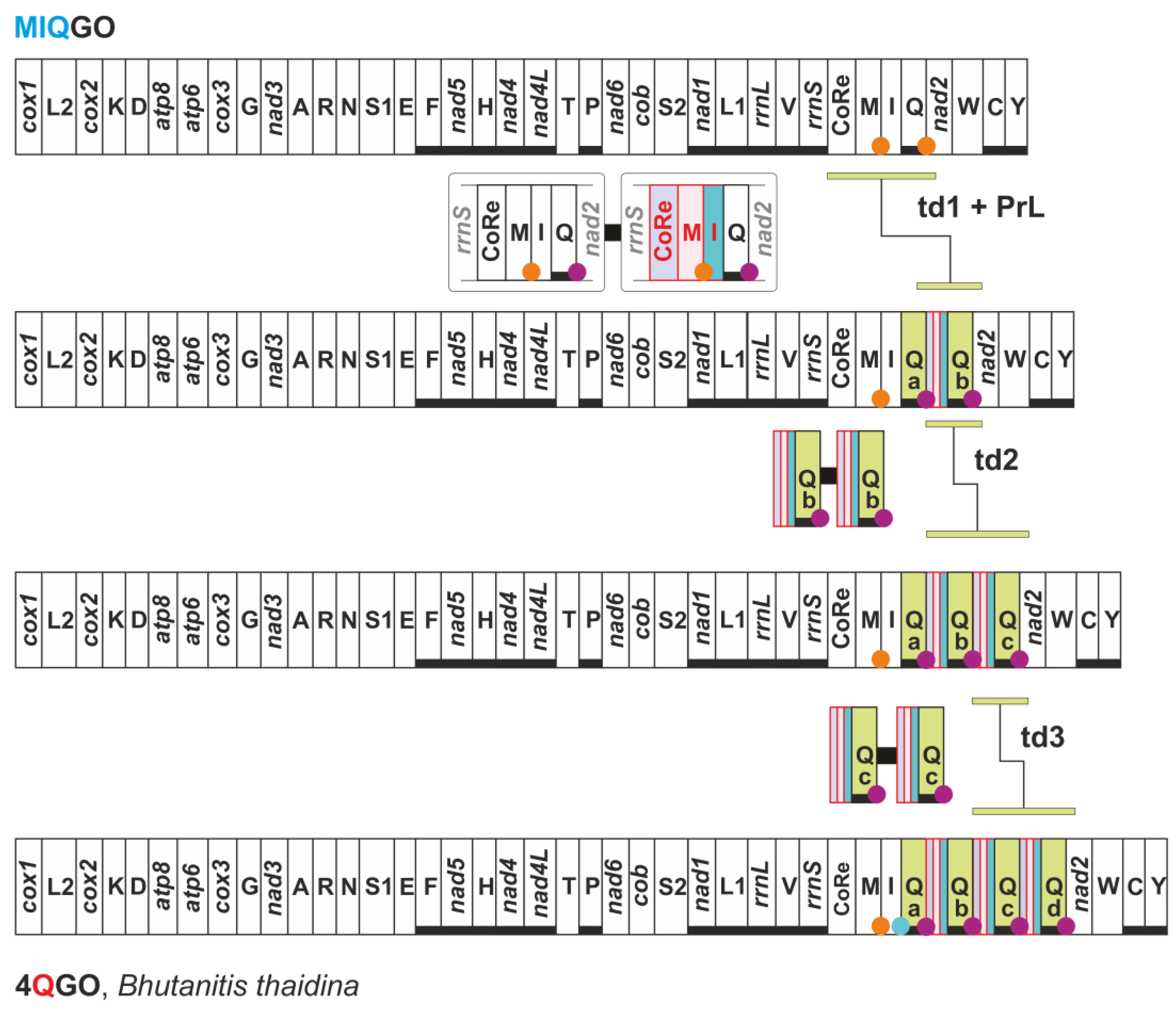 Insects 13 00358 g010