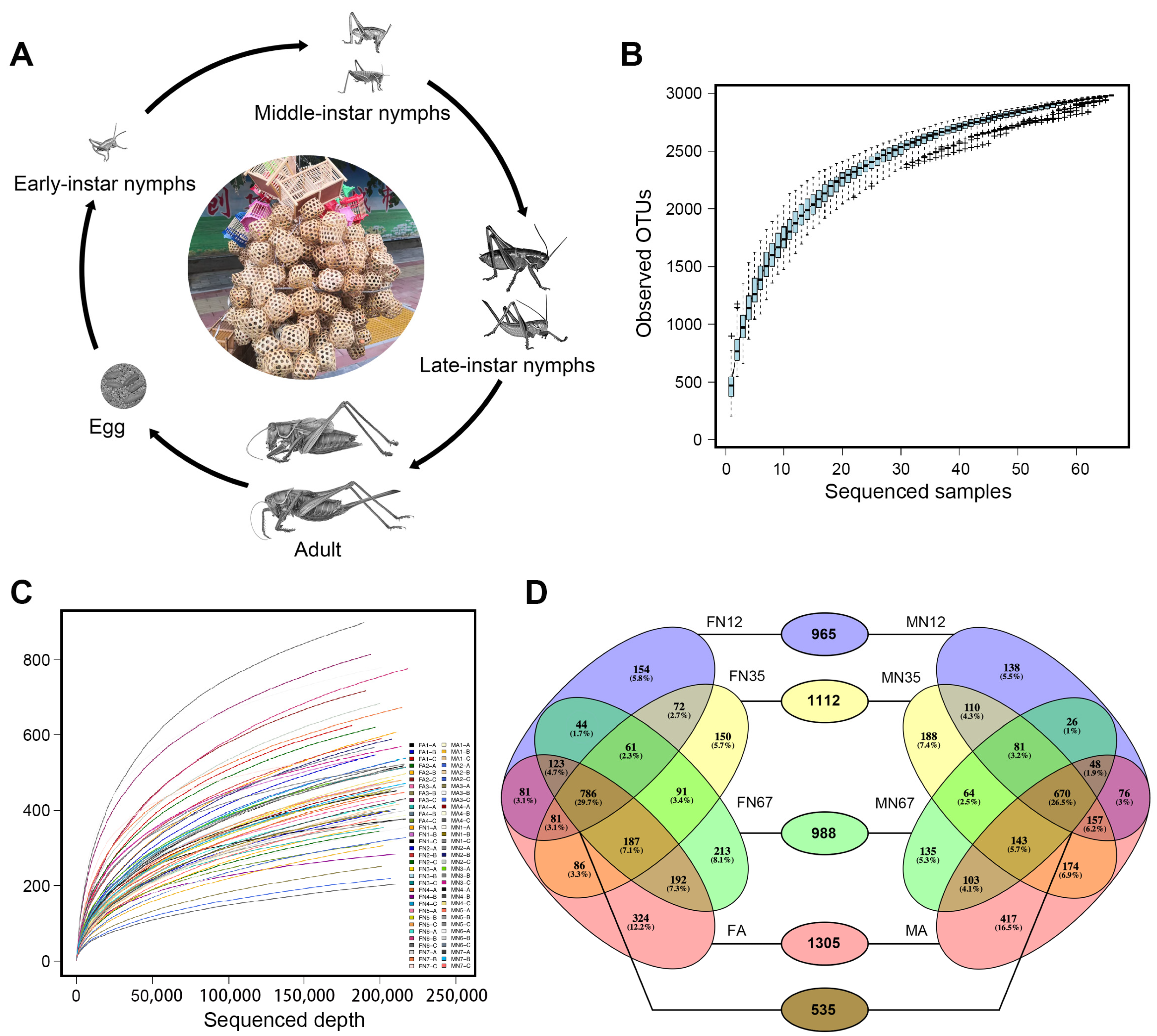 Insects 13 00361 g001 550