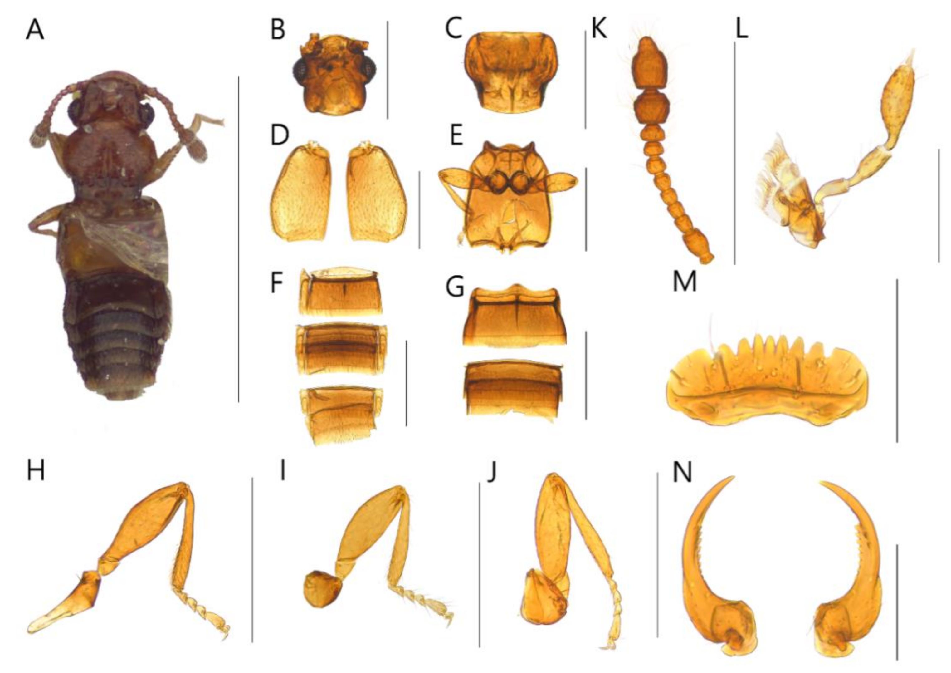 Insects 13 00362 g003 550