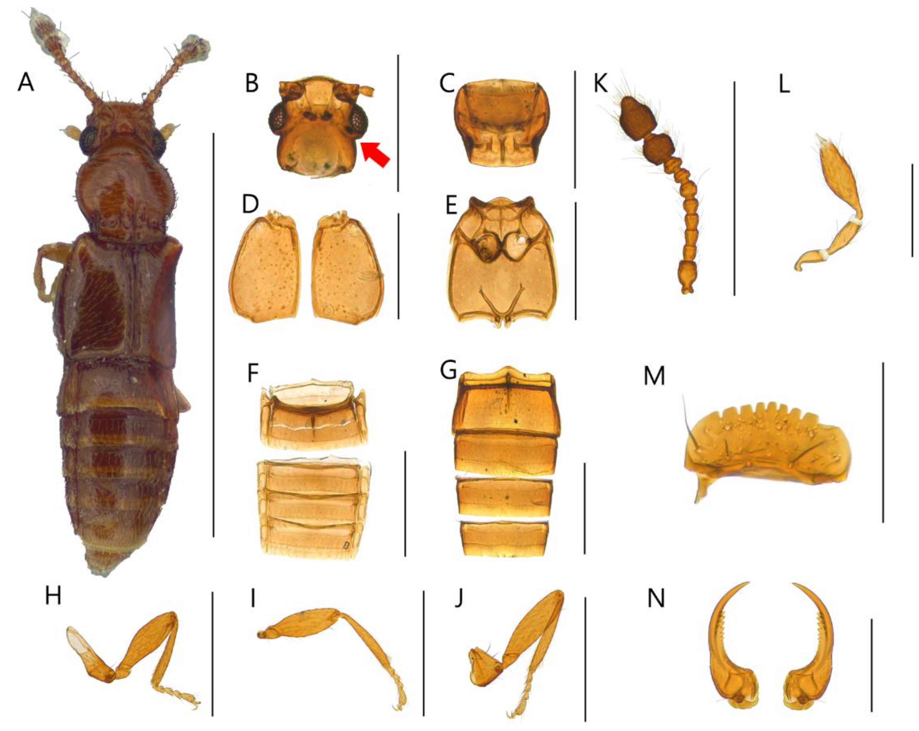 Insects 13 00362 g004 550