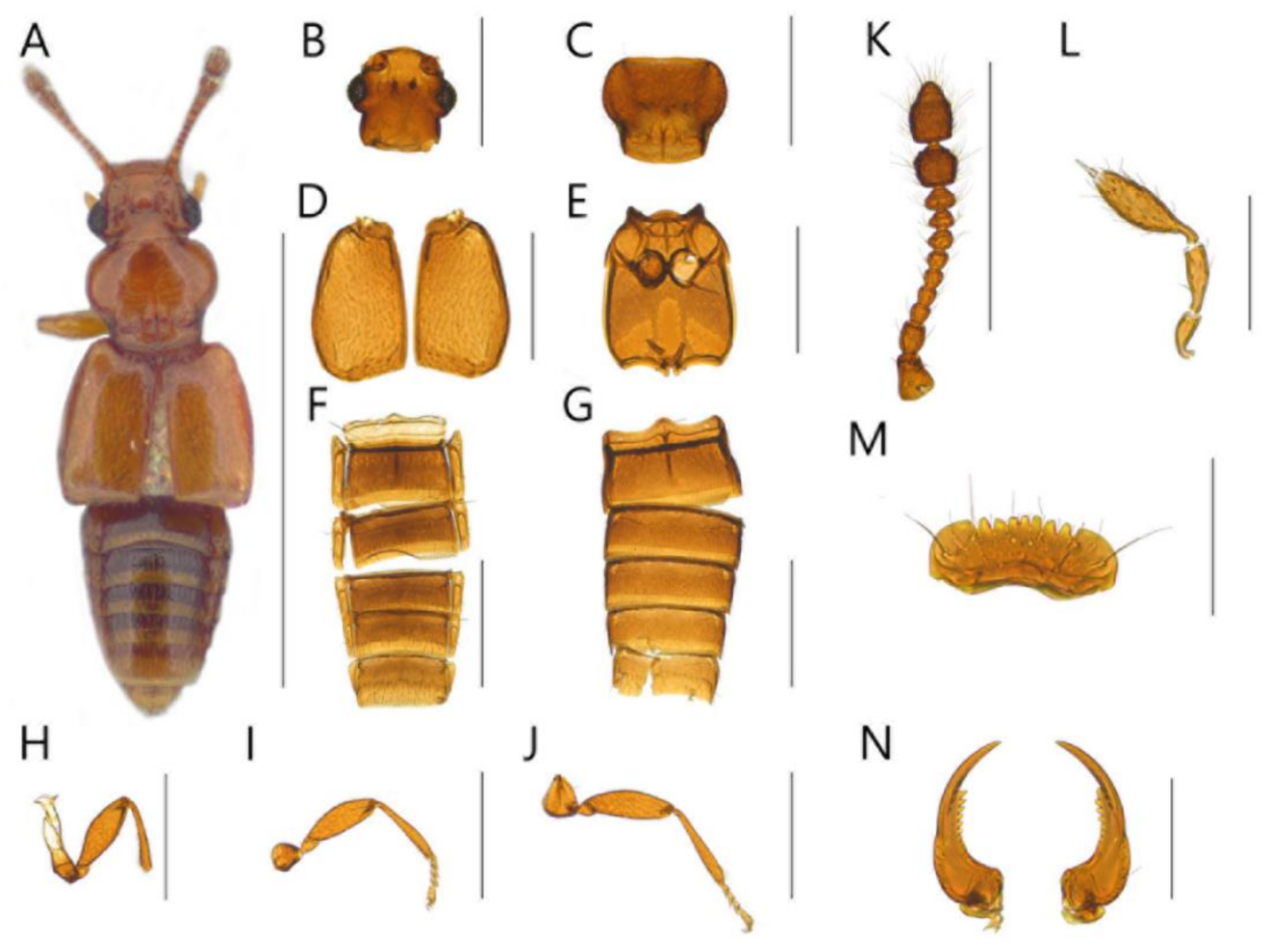 Insects 13 00362 g005 550