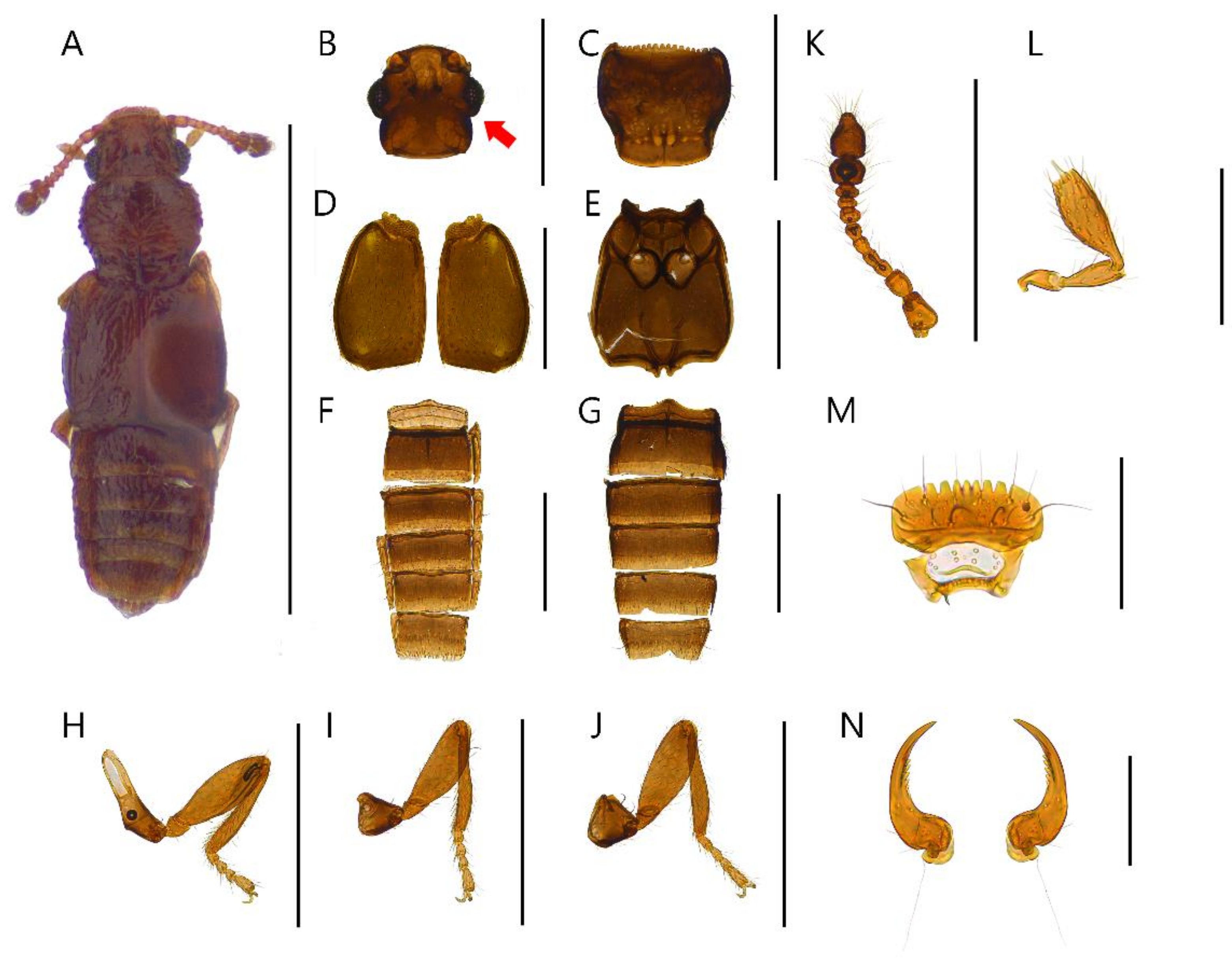 Insects 13 00362 g006 550