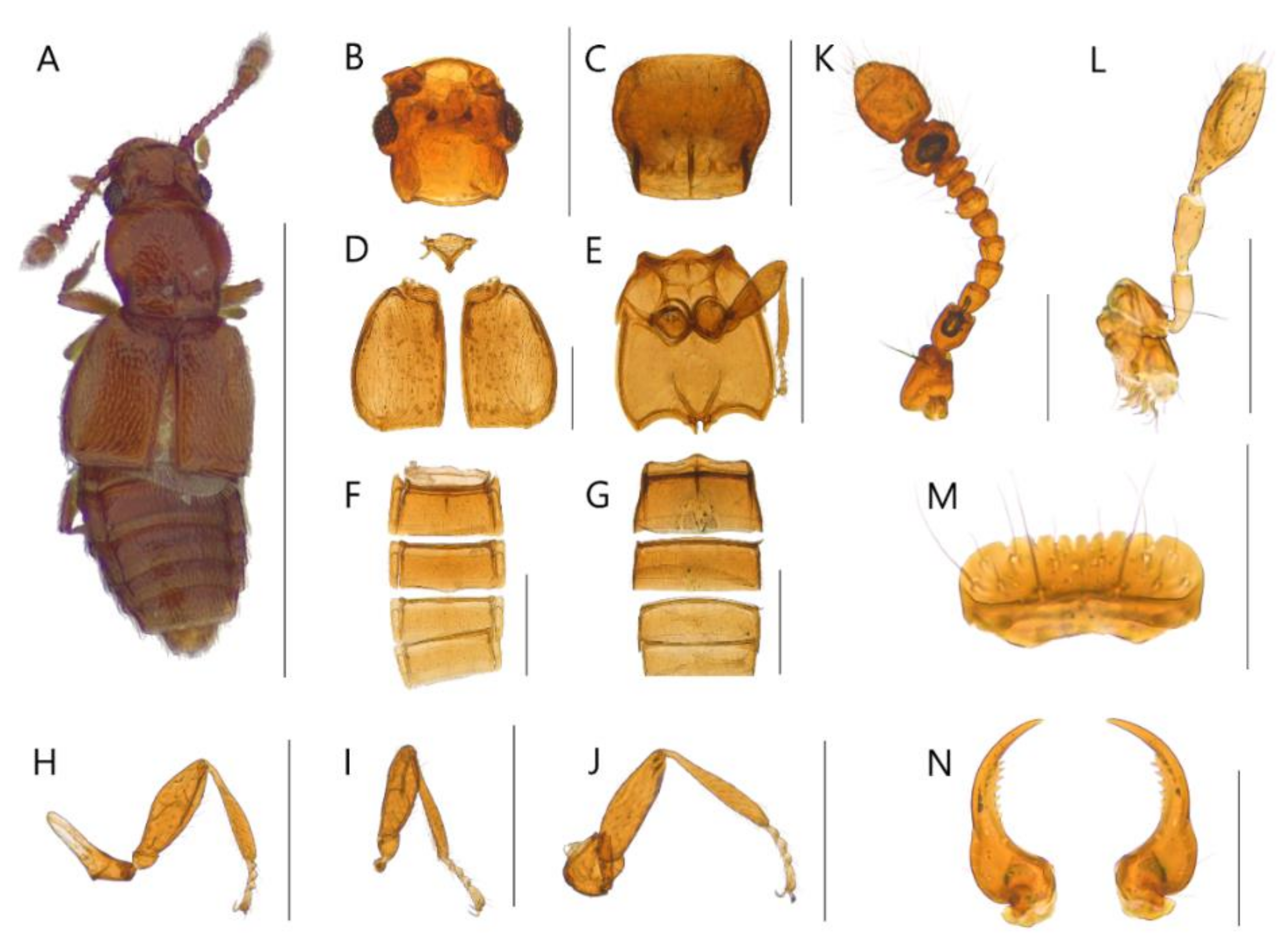 Insects 13 00362 g007 550