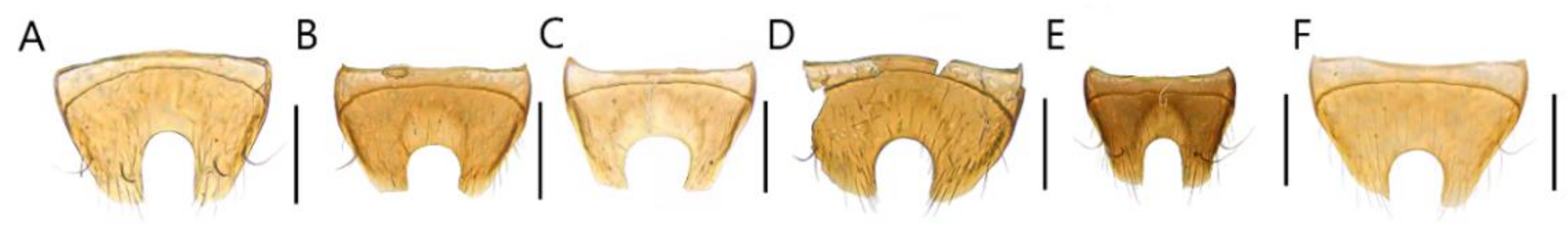 Insects 13 00362 g008 550