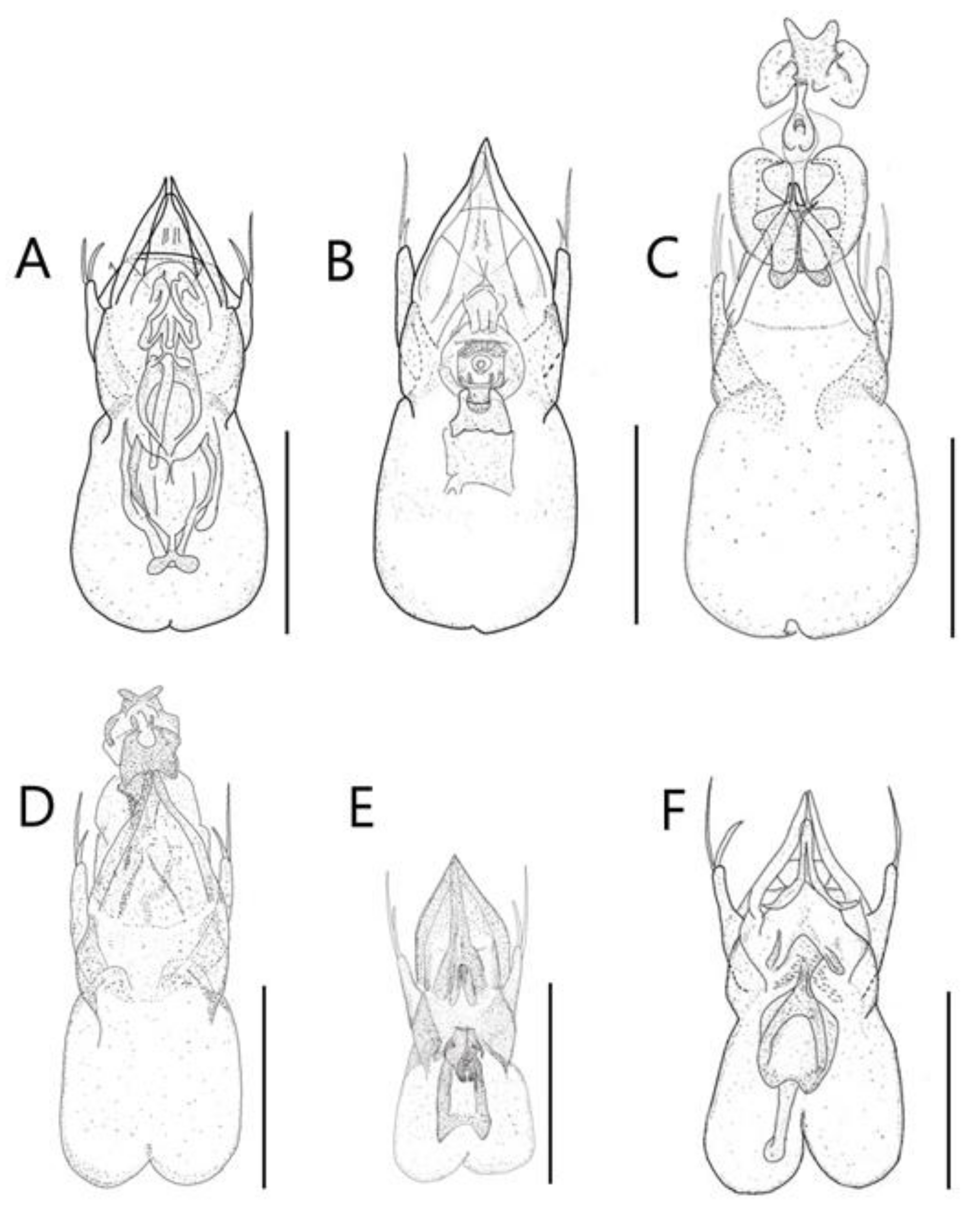 Insects 13 00362 g009 550