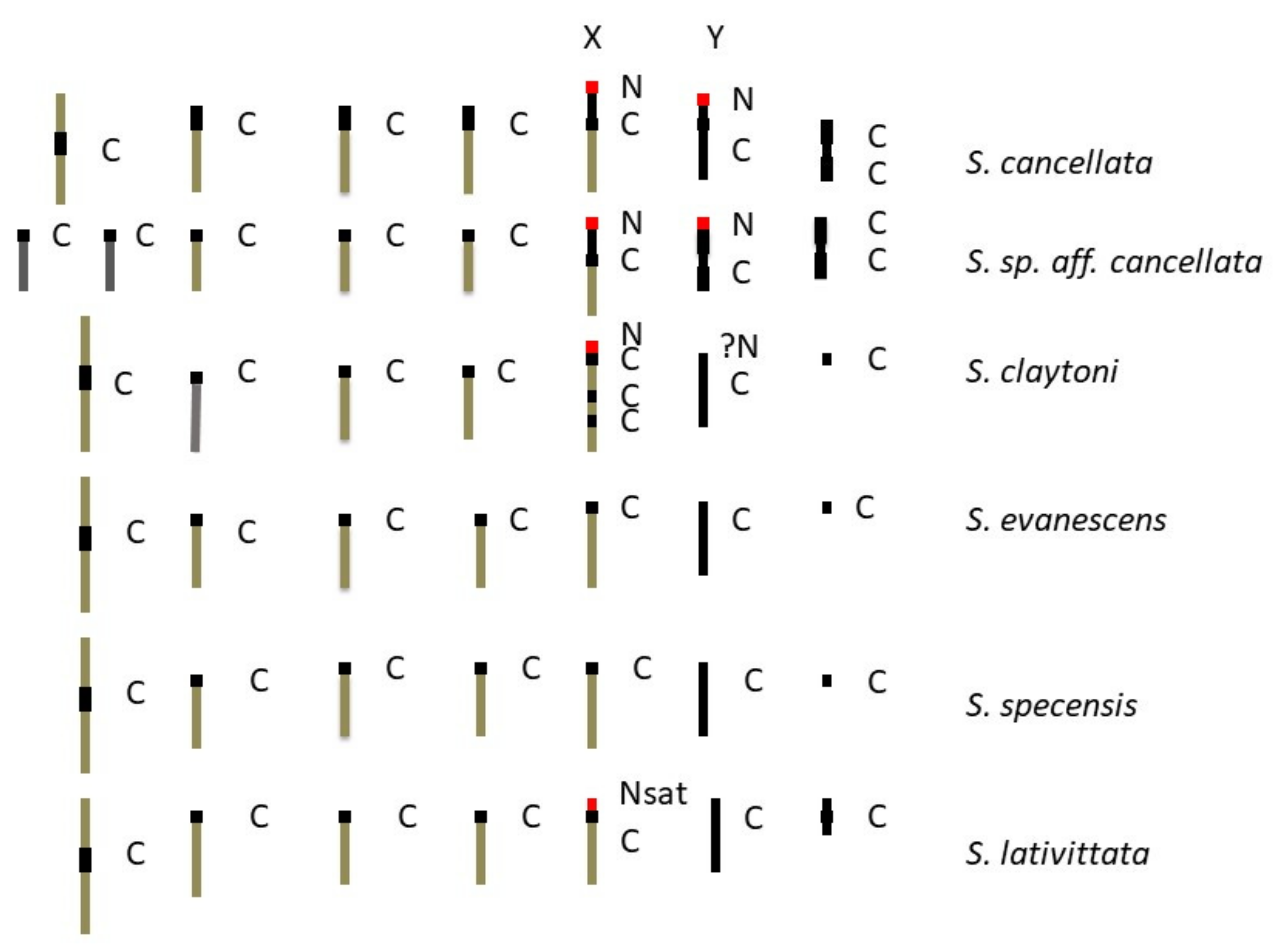 Insects 13 00364 g008a