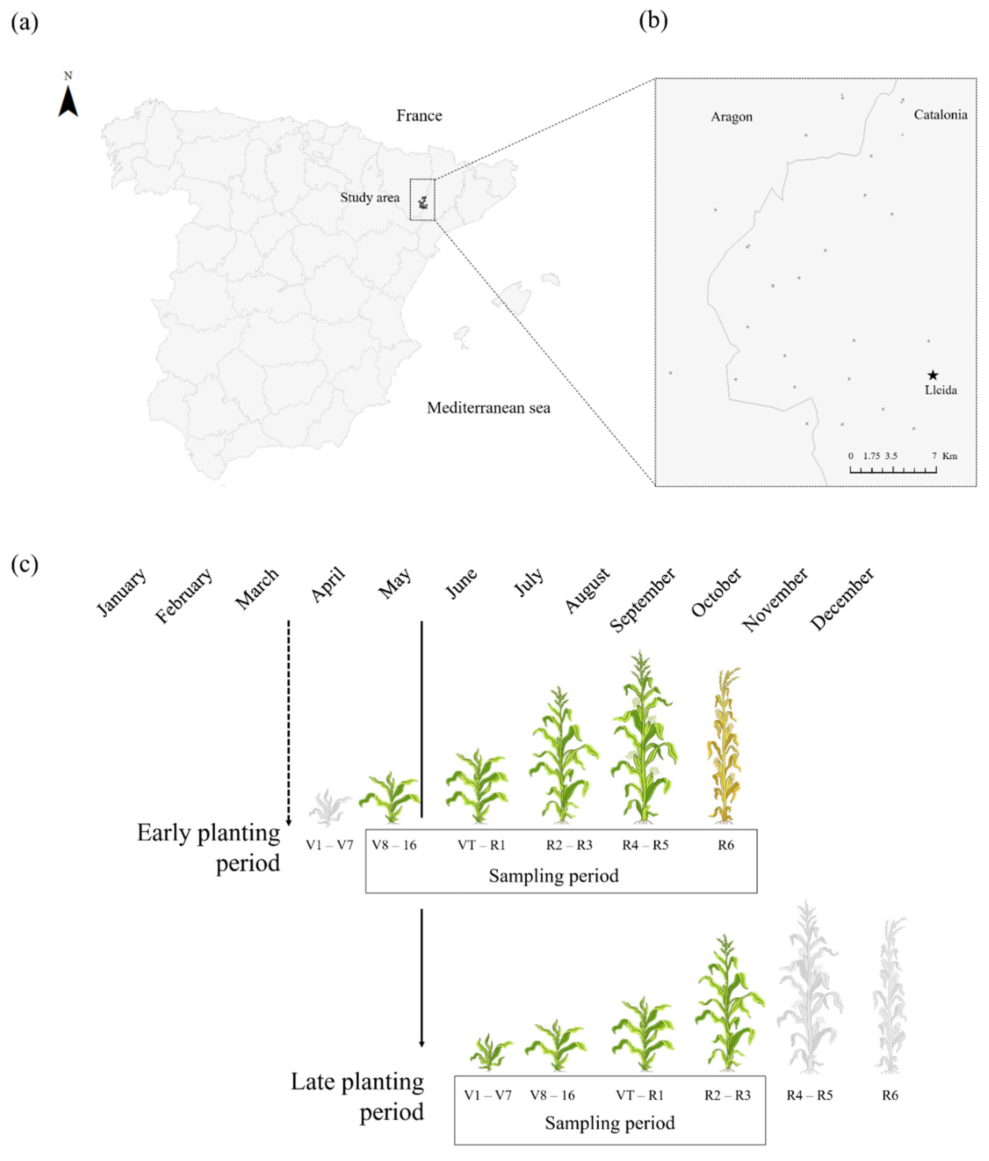 Insects 13 00388 g001