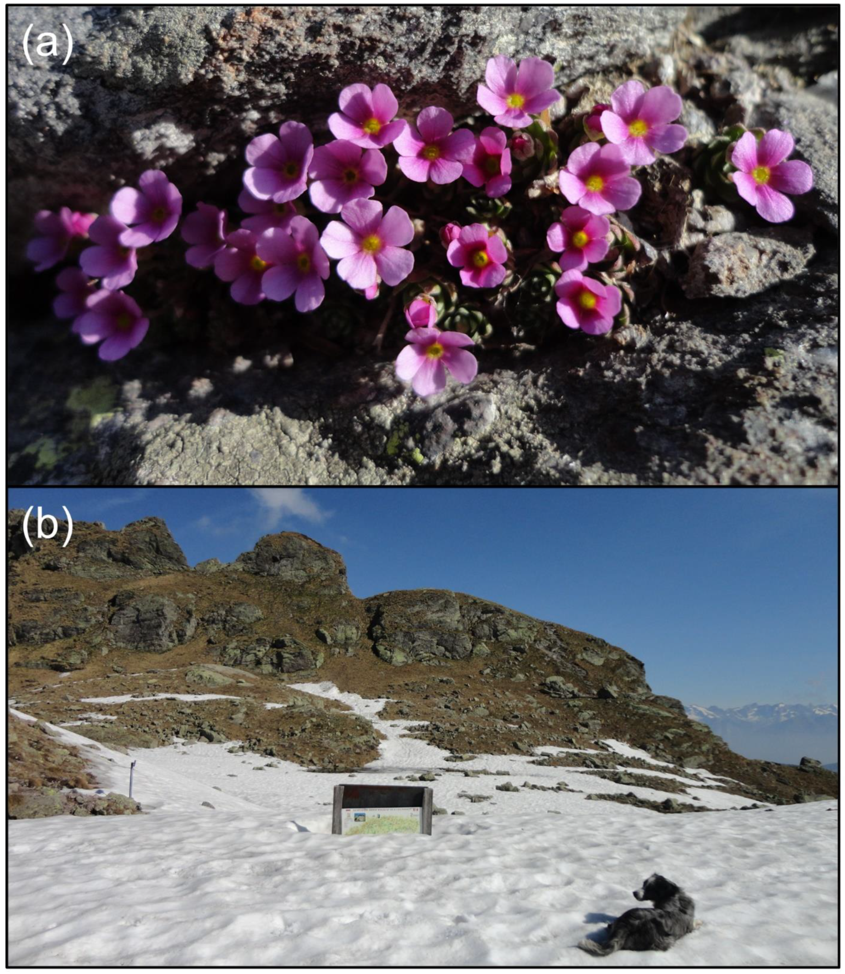 Insects 13 00393 g001