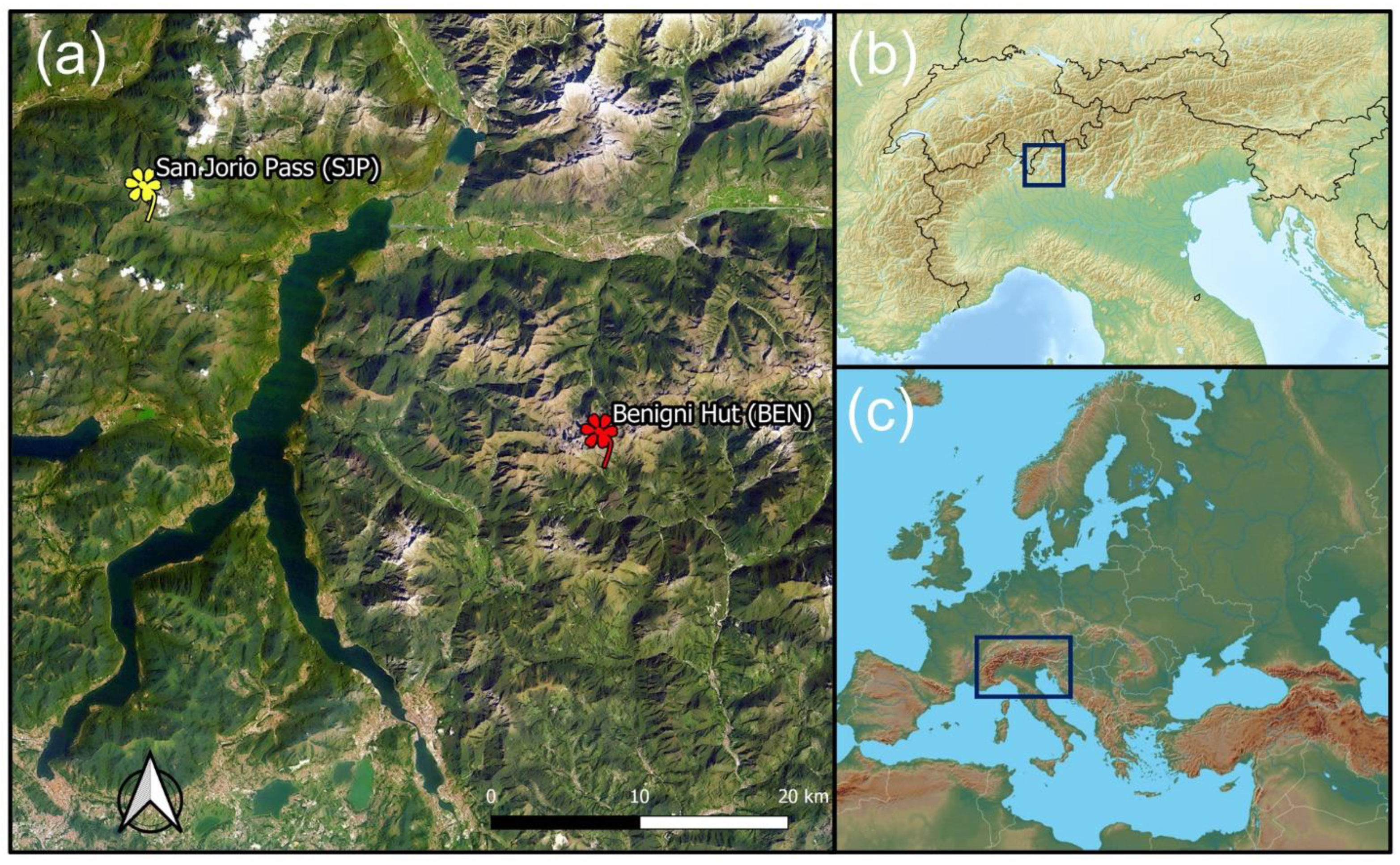 Insects 13 00393 g002