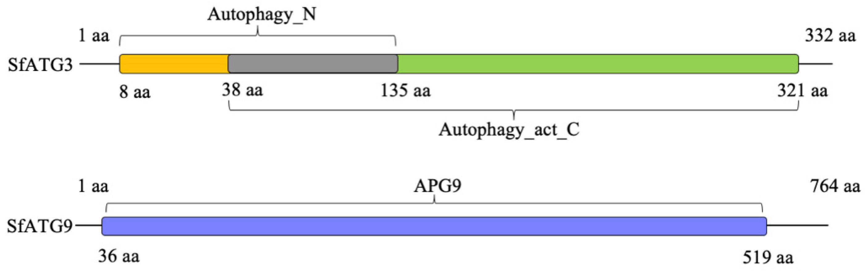 Insects 13 00394 g001