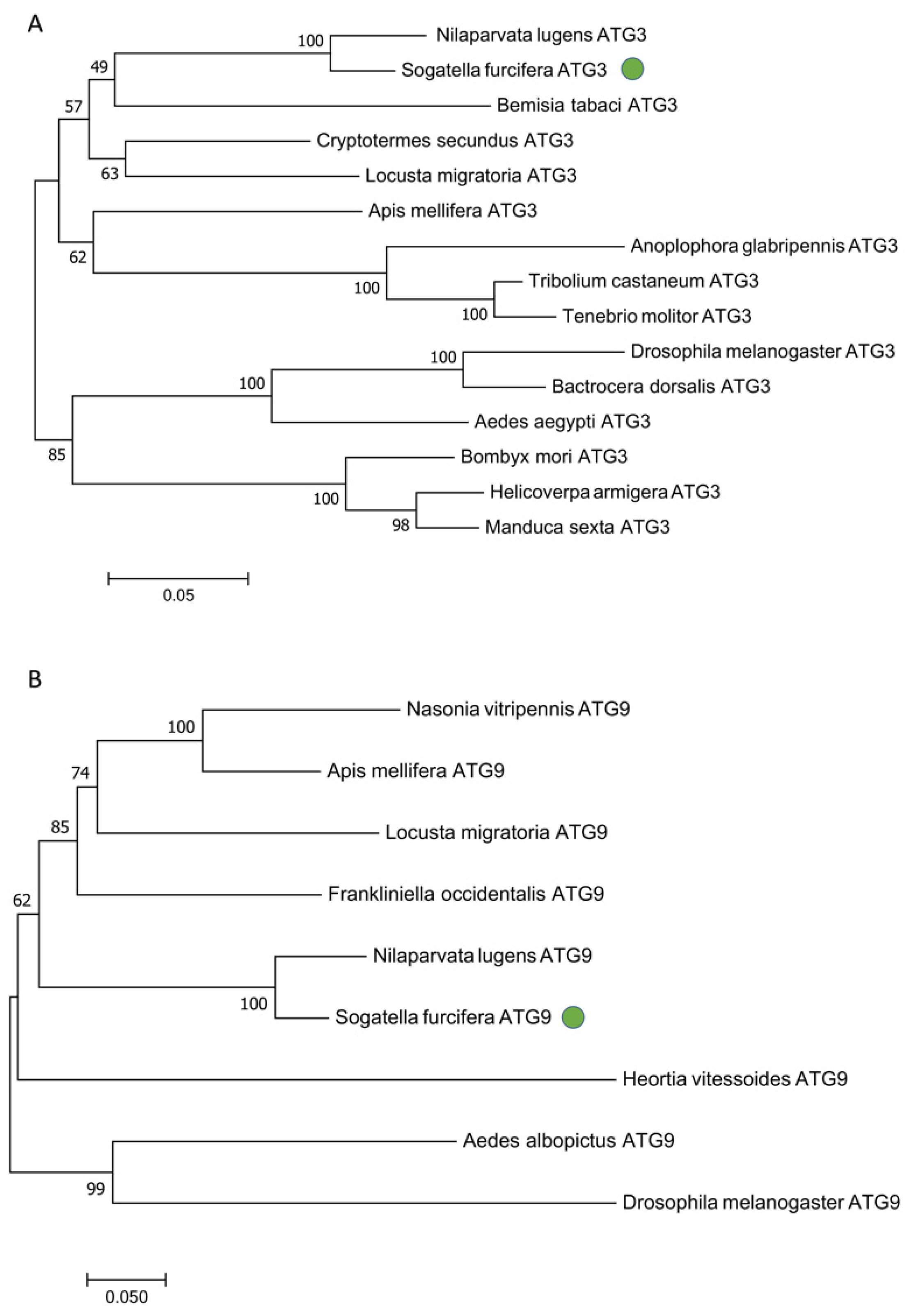 Insects 13 00394 g002