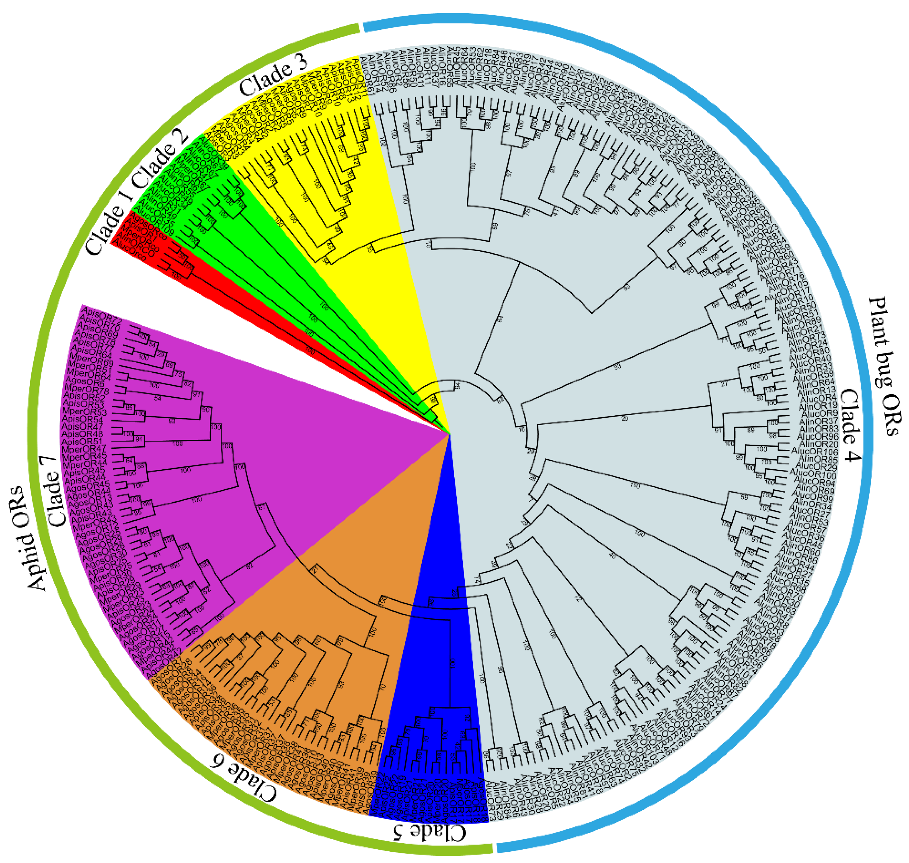 Insects 13 00398 g001 550