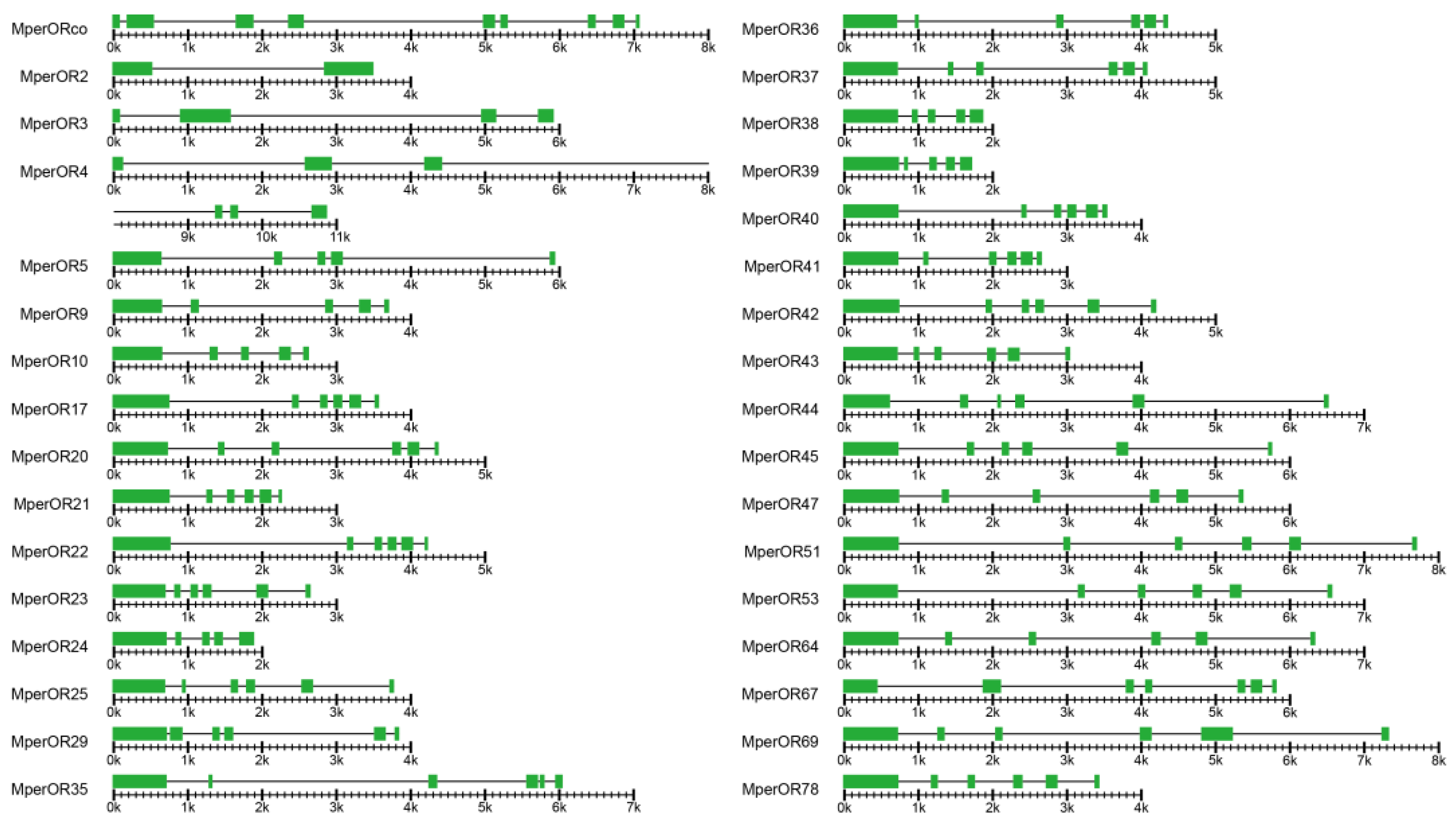 Insects 13 00398 g002 550
