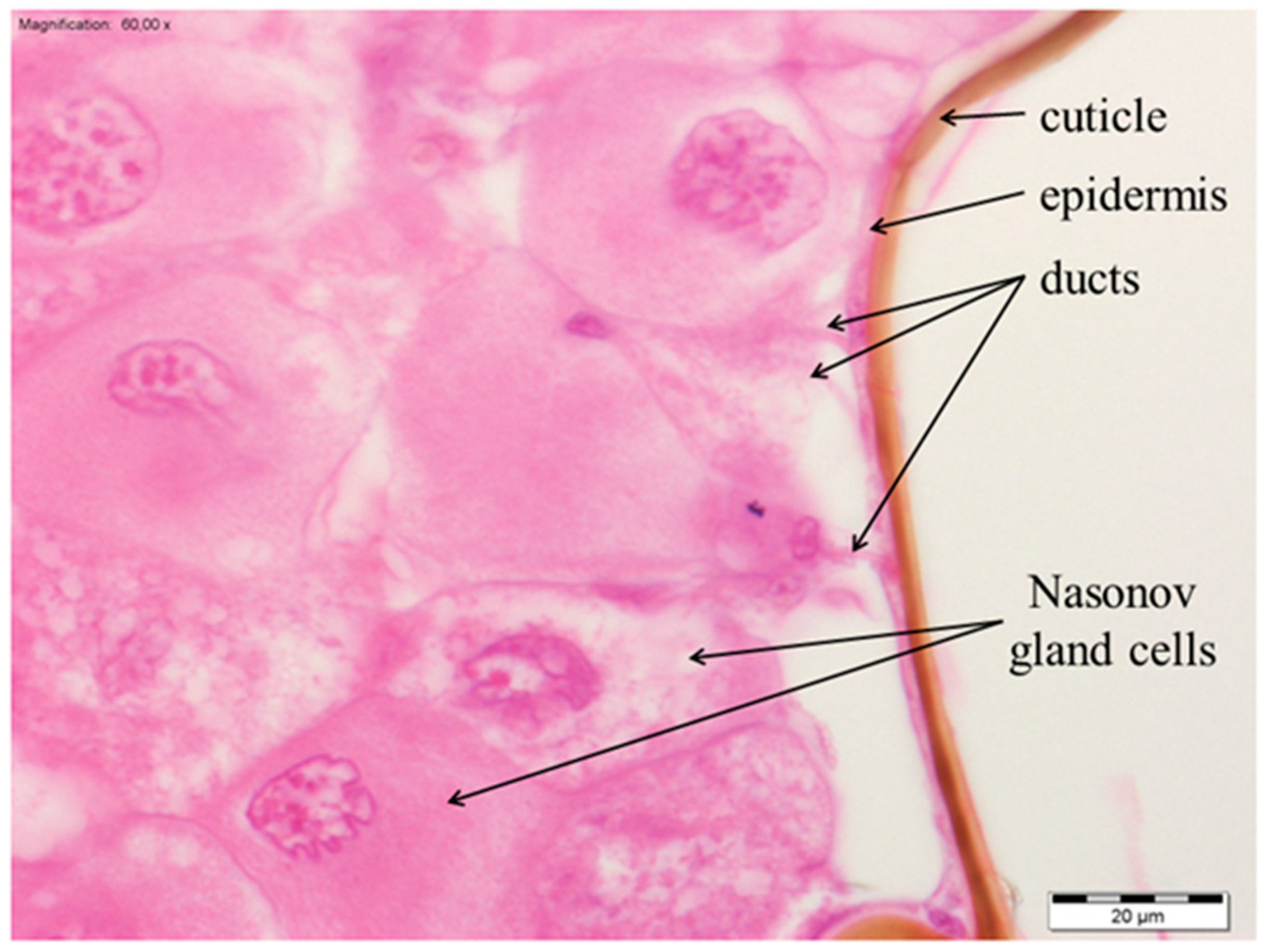 Insects 13 00401 g003