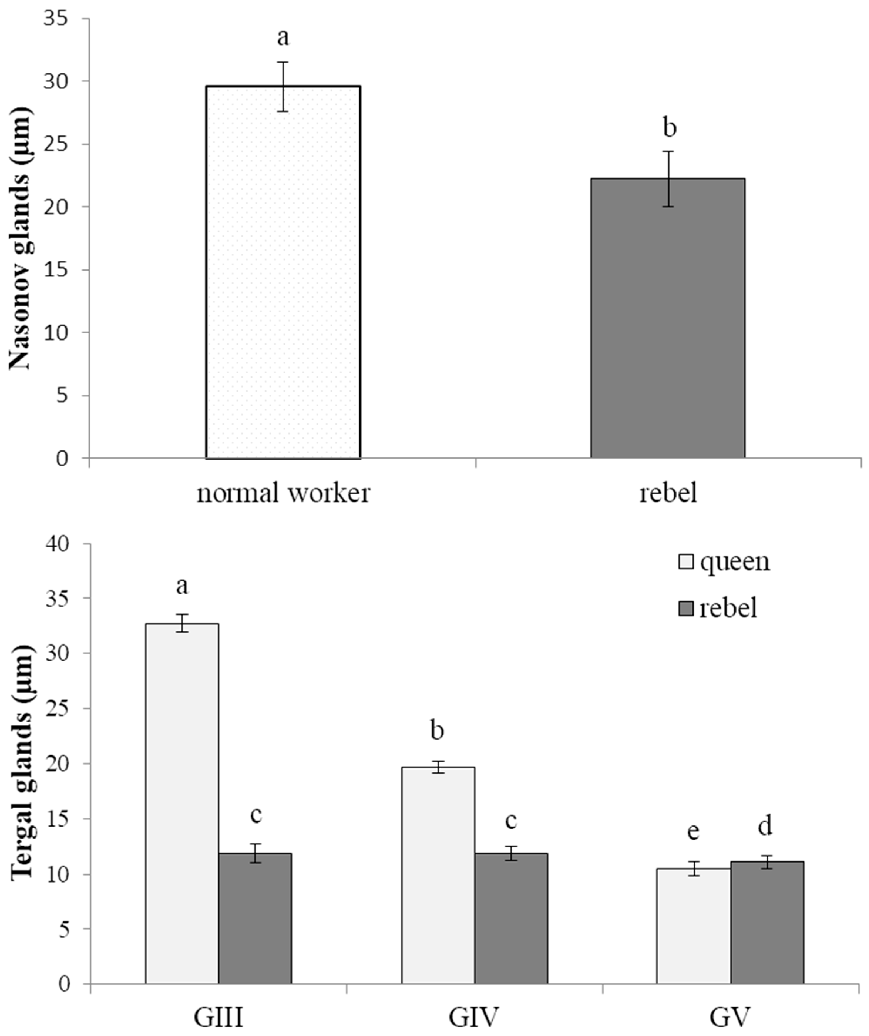 Insects 13 00401 g004