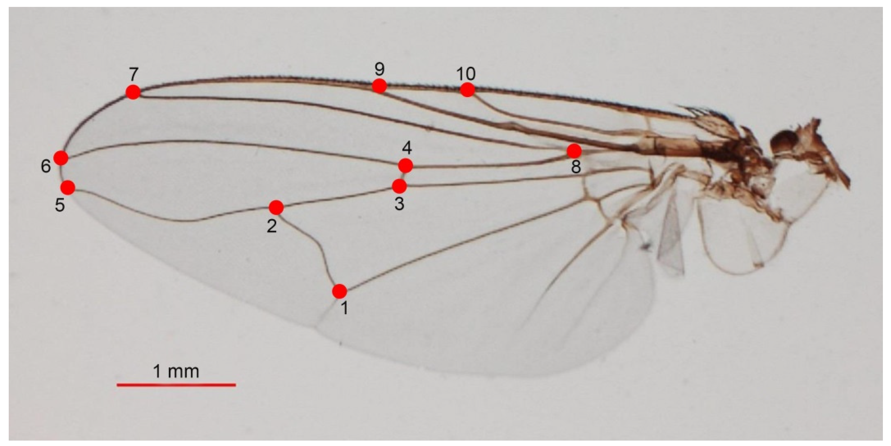 Insects 13 00405 g002