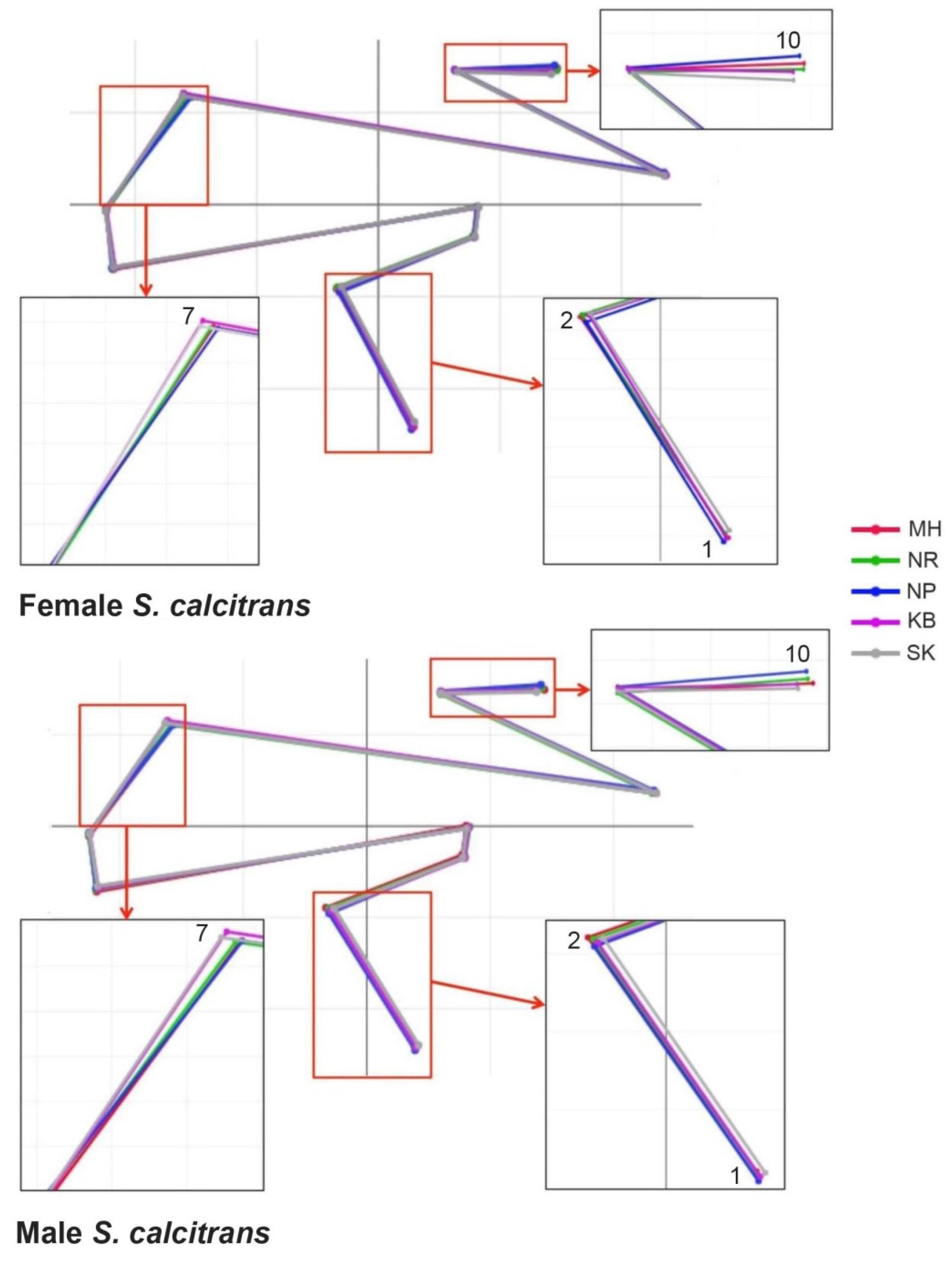 Insects 13 00405 g005