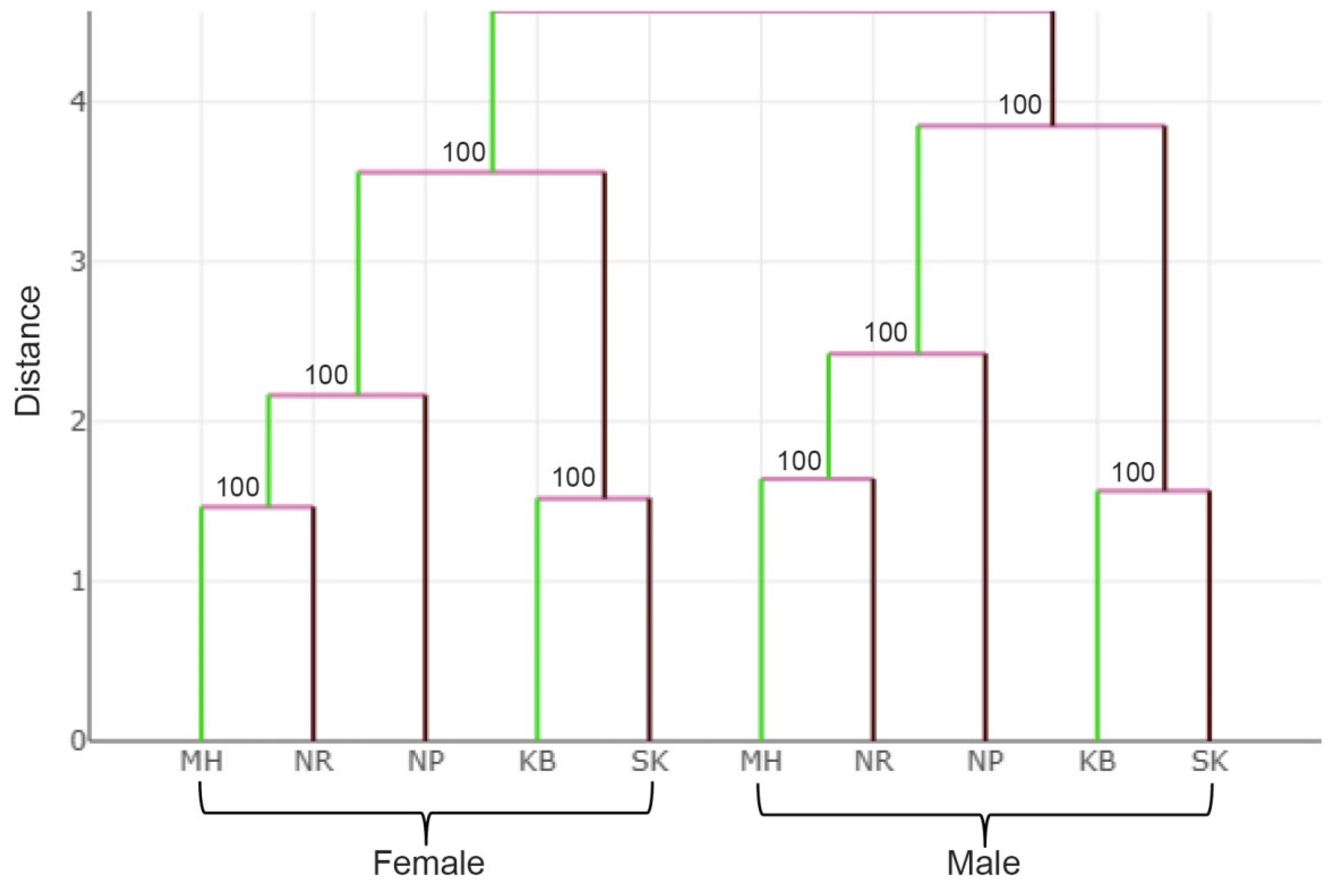 Insects 13 00405 g007