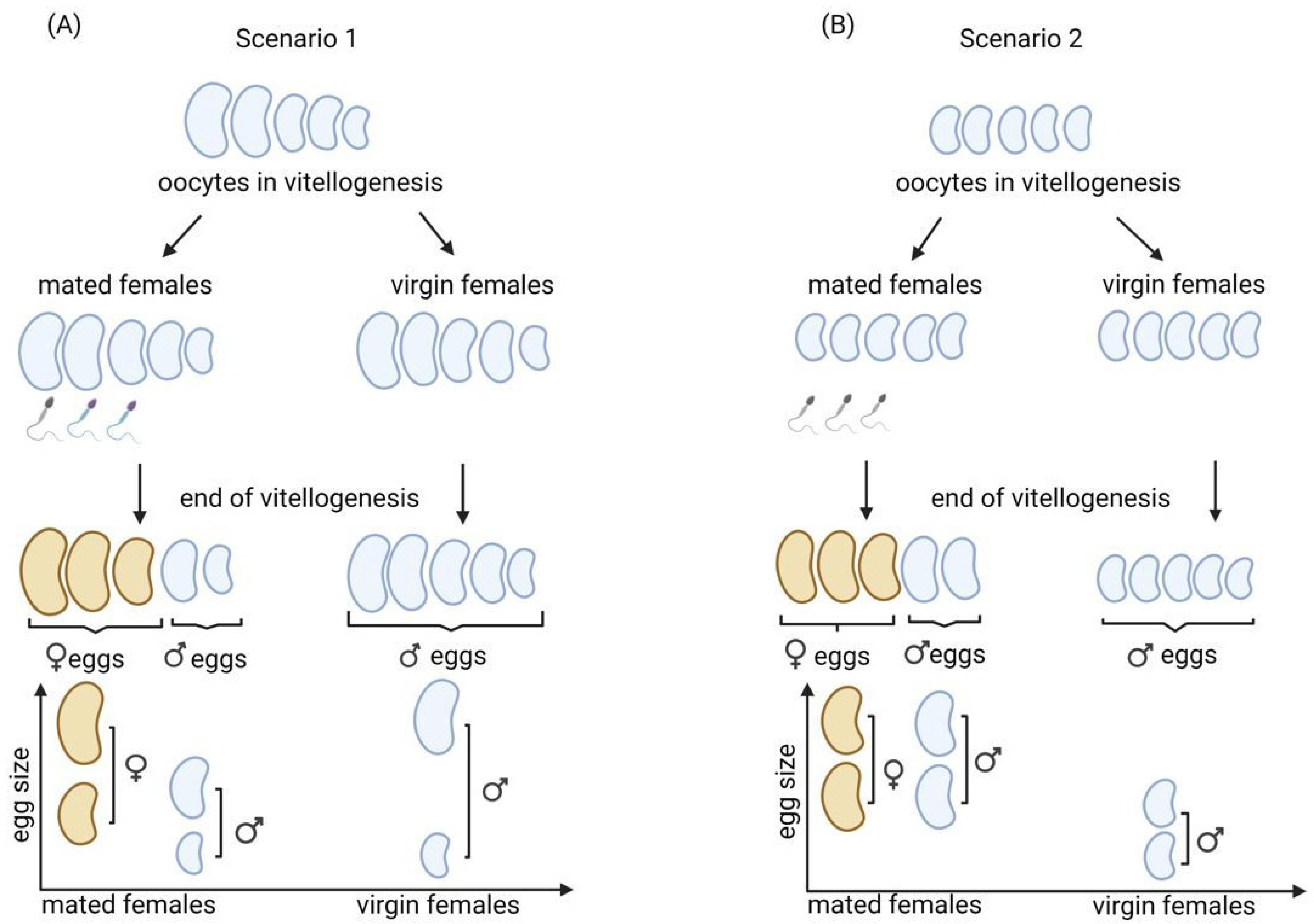 Insects 13 00408 g002