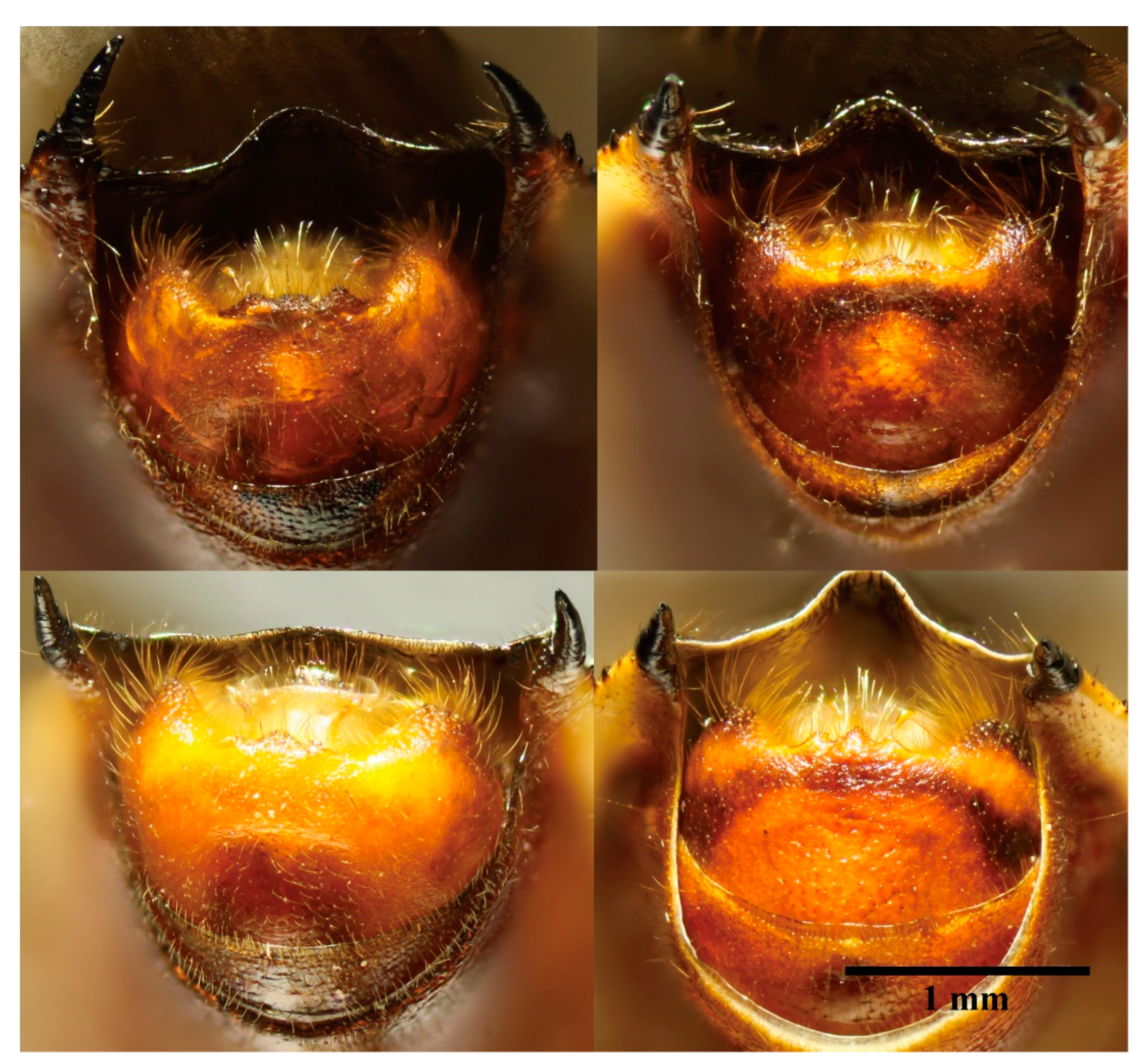 Insects 13 00411 g005