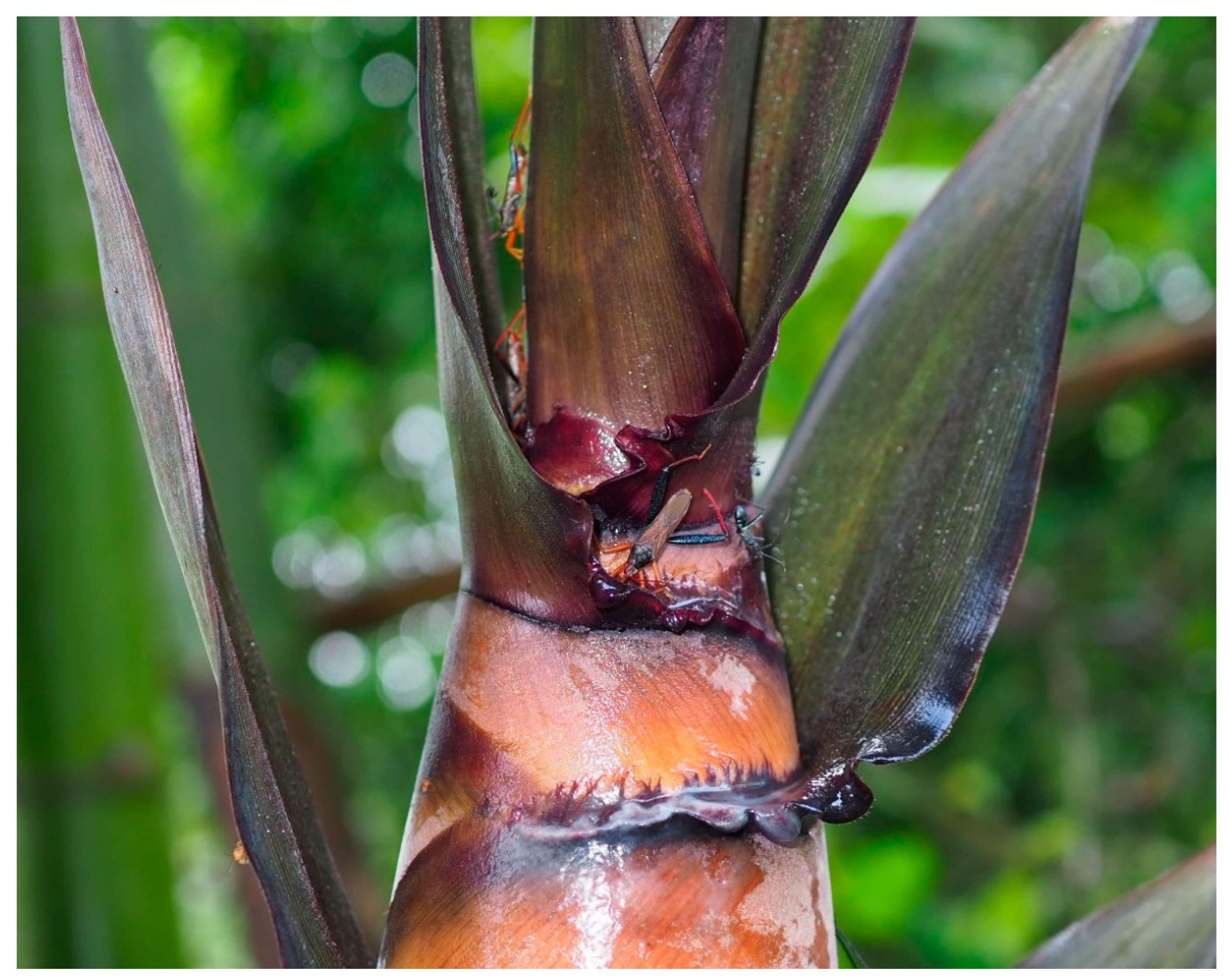 Insects 13 00411 g006