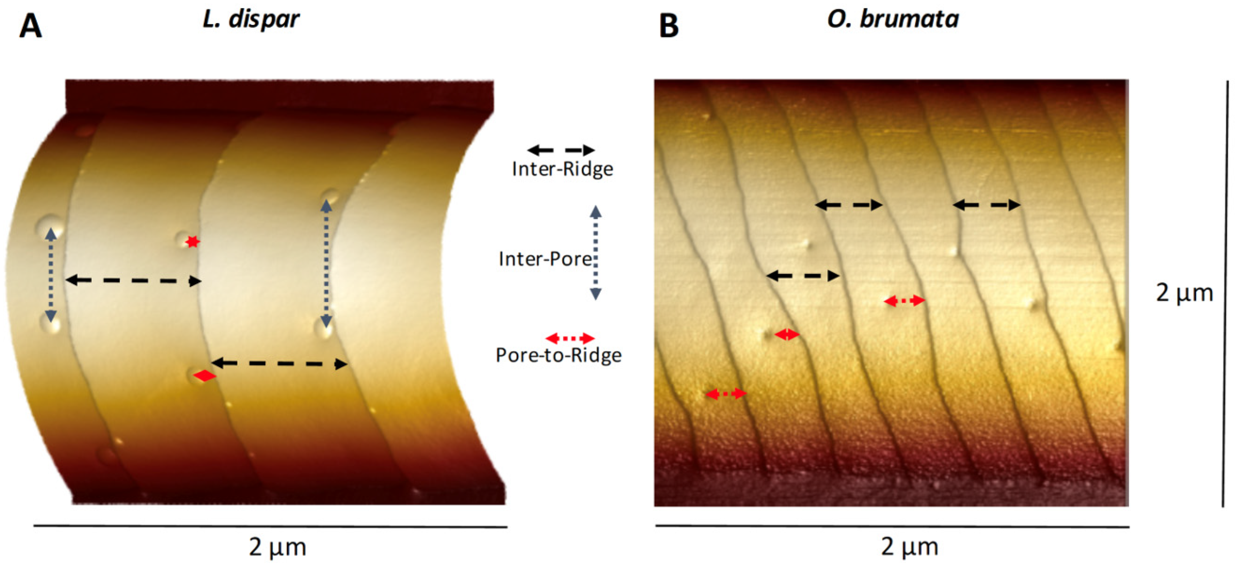 Insects 13 00423 g001 550