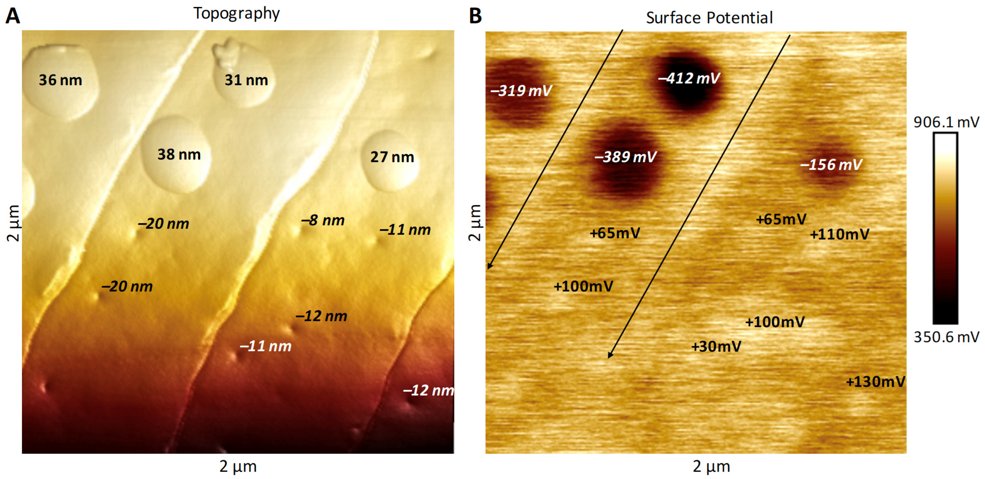 Insects 13 00423 g006 550