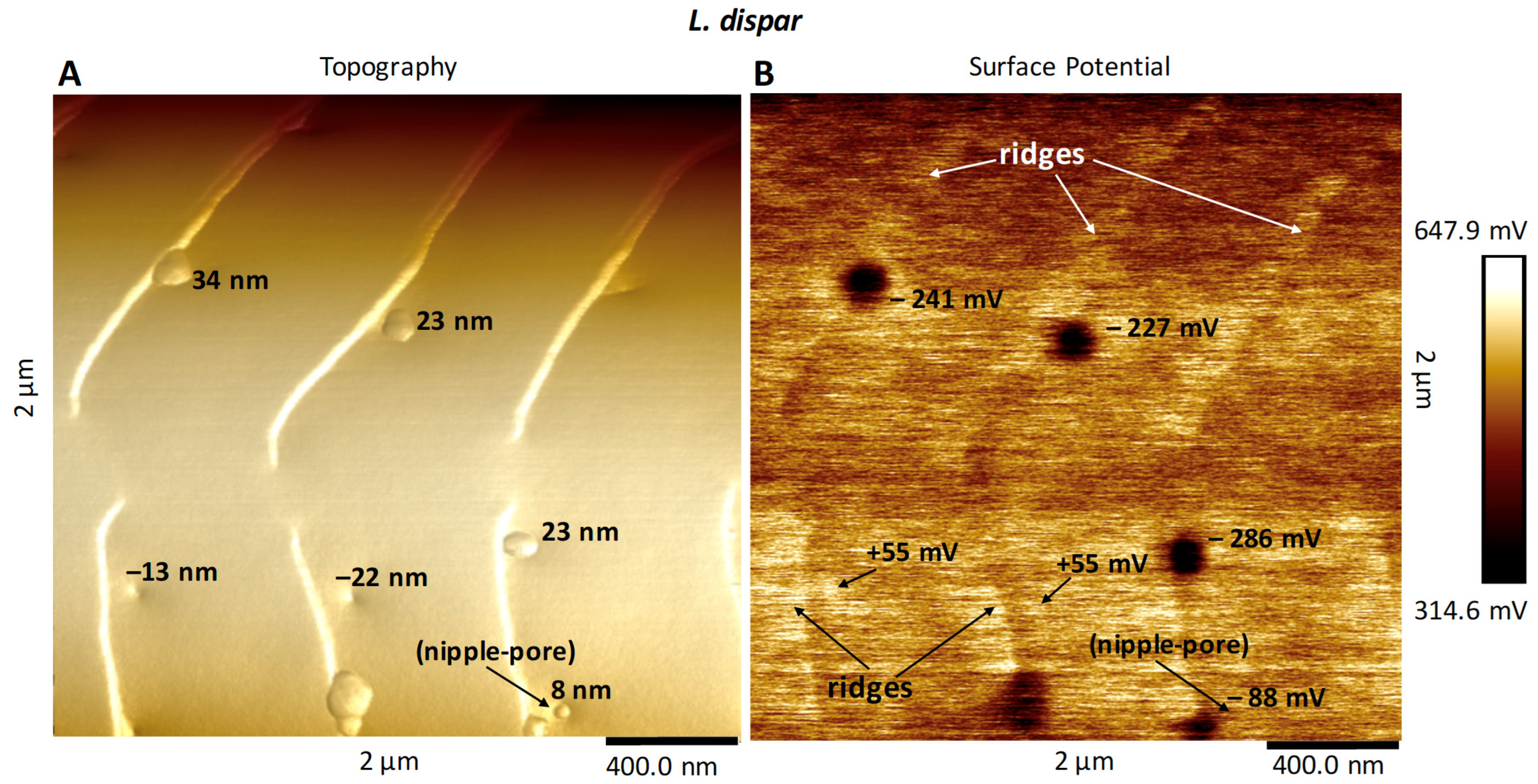 Insects 13 00423 g007 550