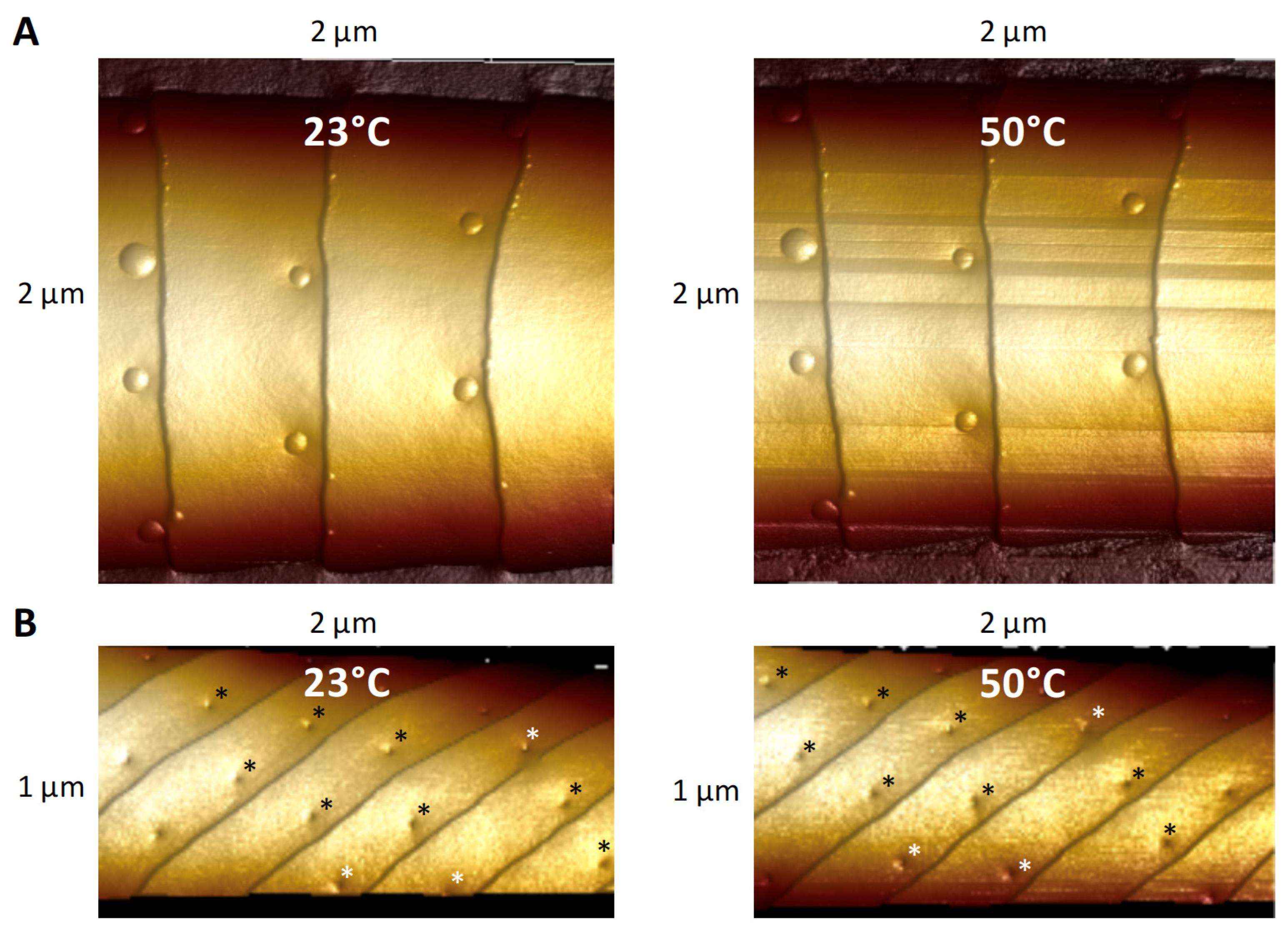Insects 13 00423 g009 550