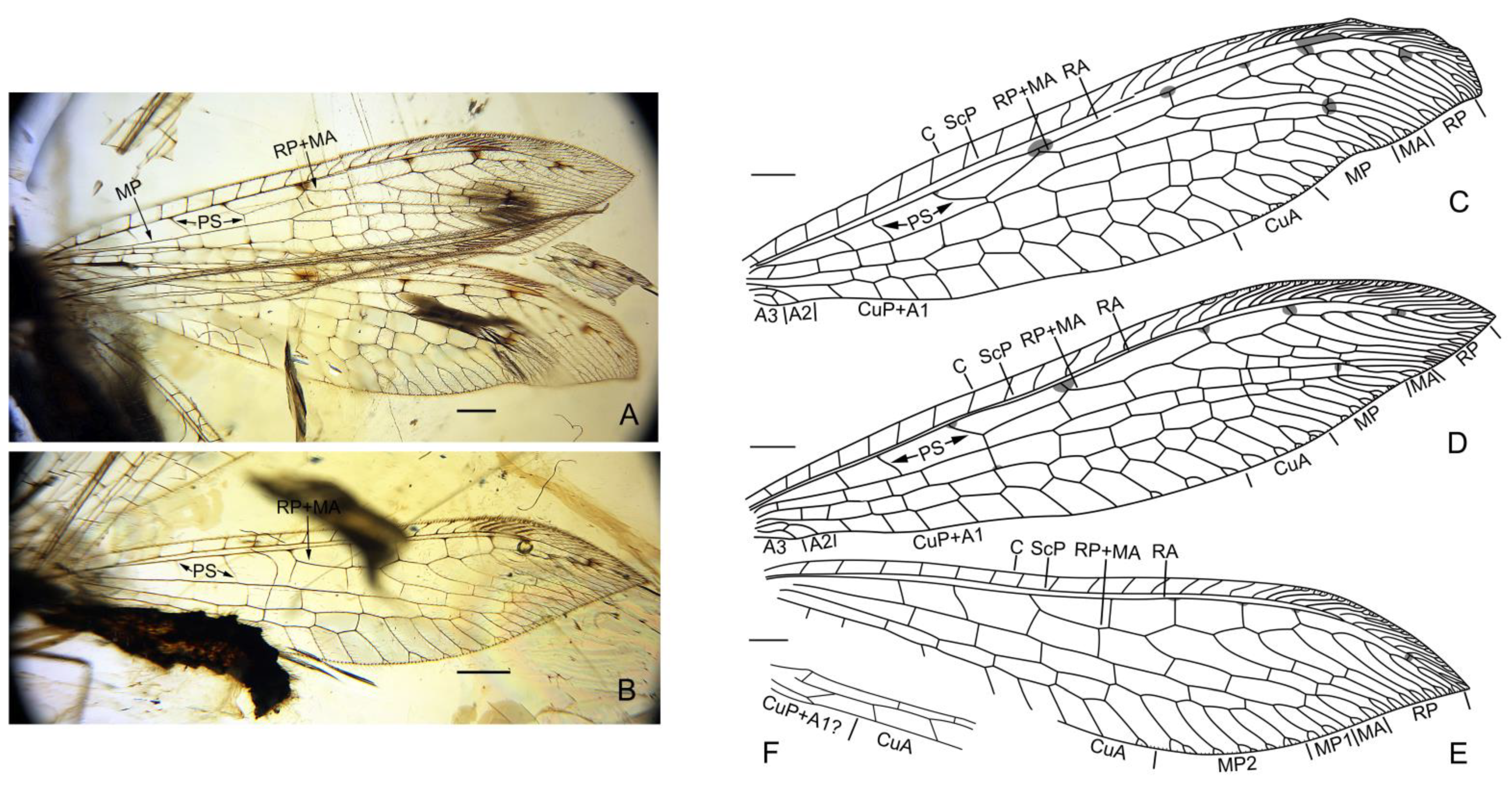 Insects 13 00429 g003 550