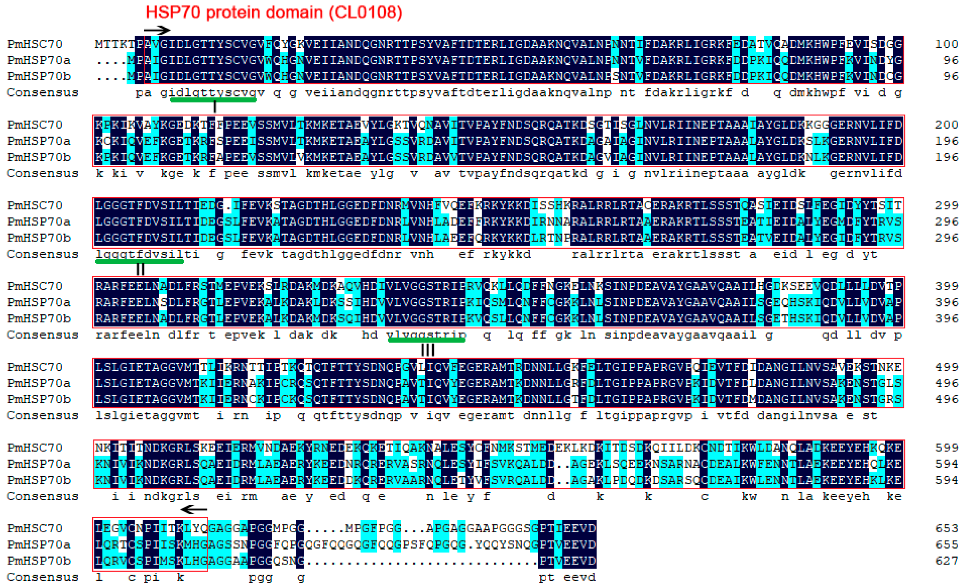 Insects 13 00430 g001 550