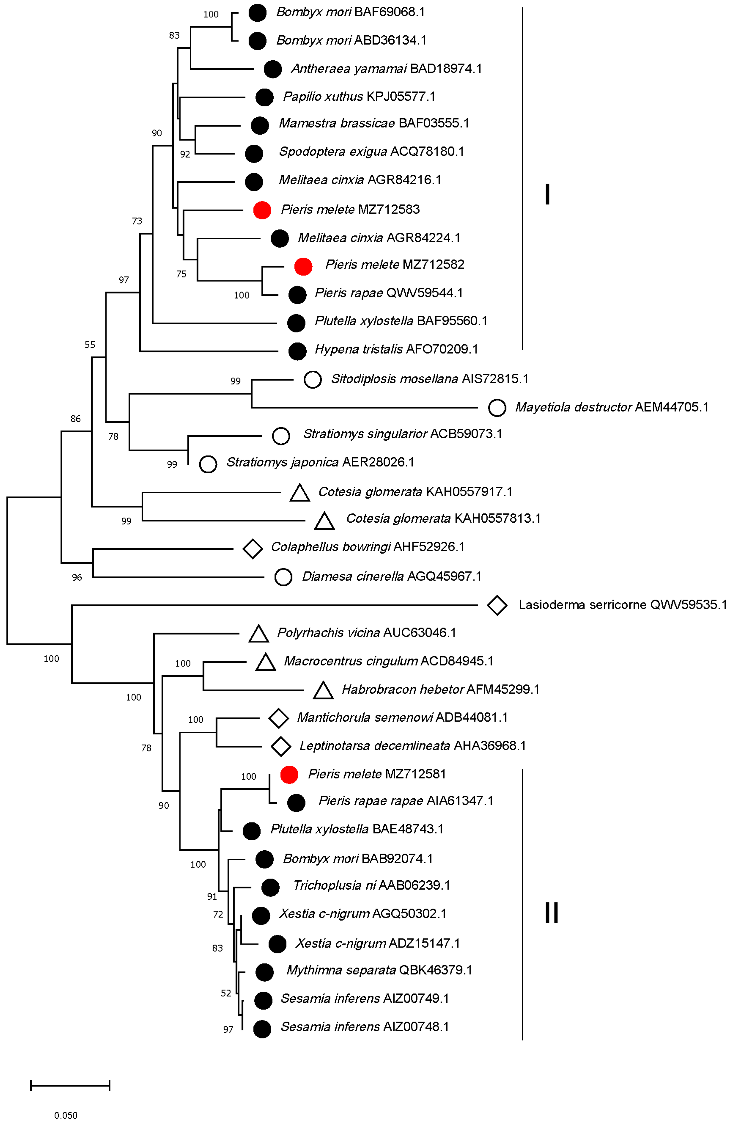 Insects 13 00430 g002 550