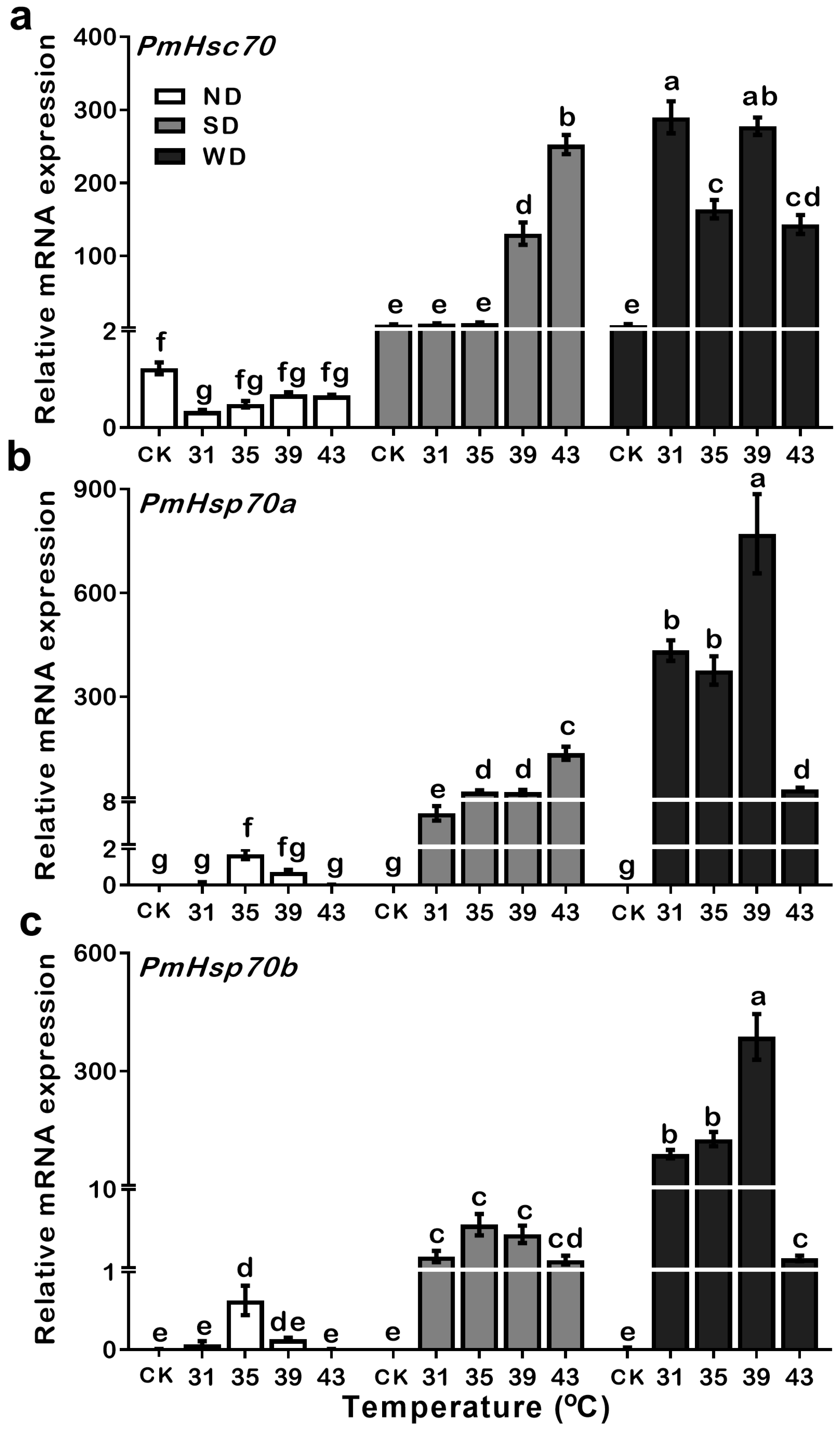 Insects 13 00430 g005 550