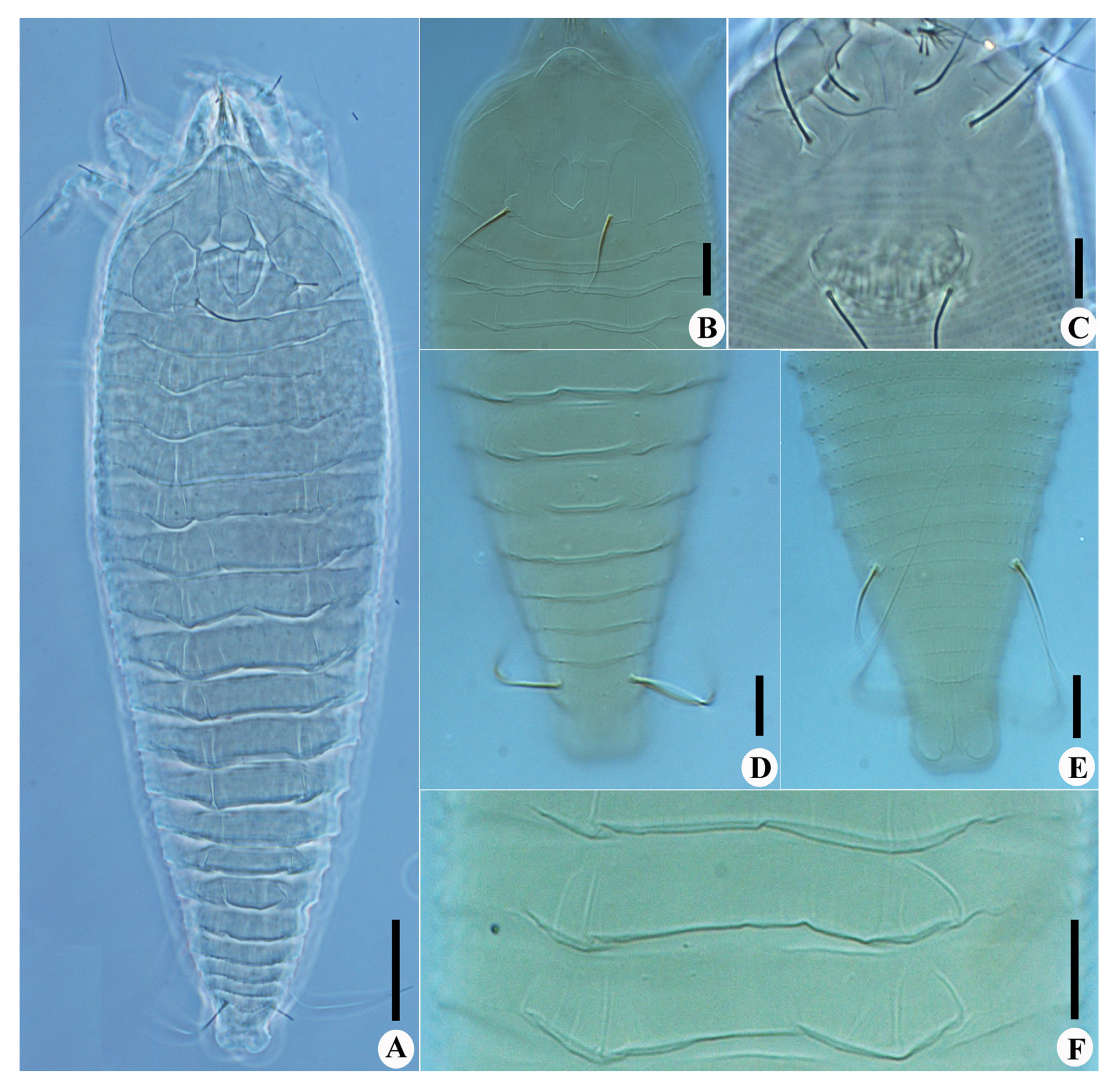 Insects 13 00431 g003