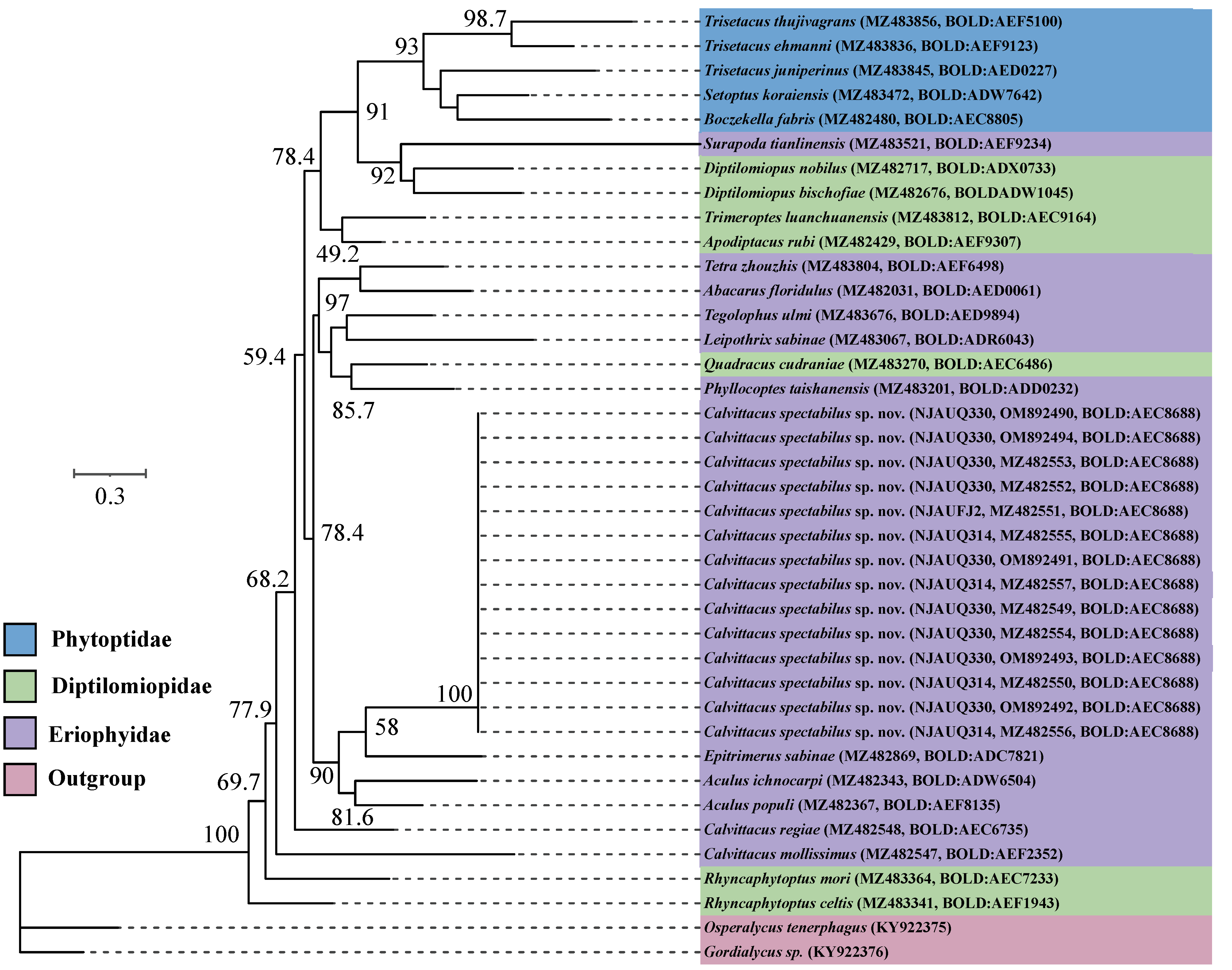Insects 13 00431 g005