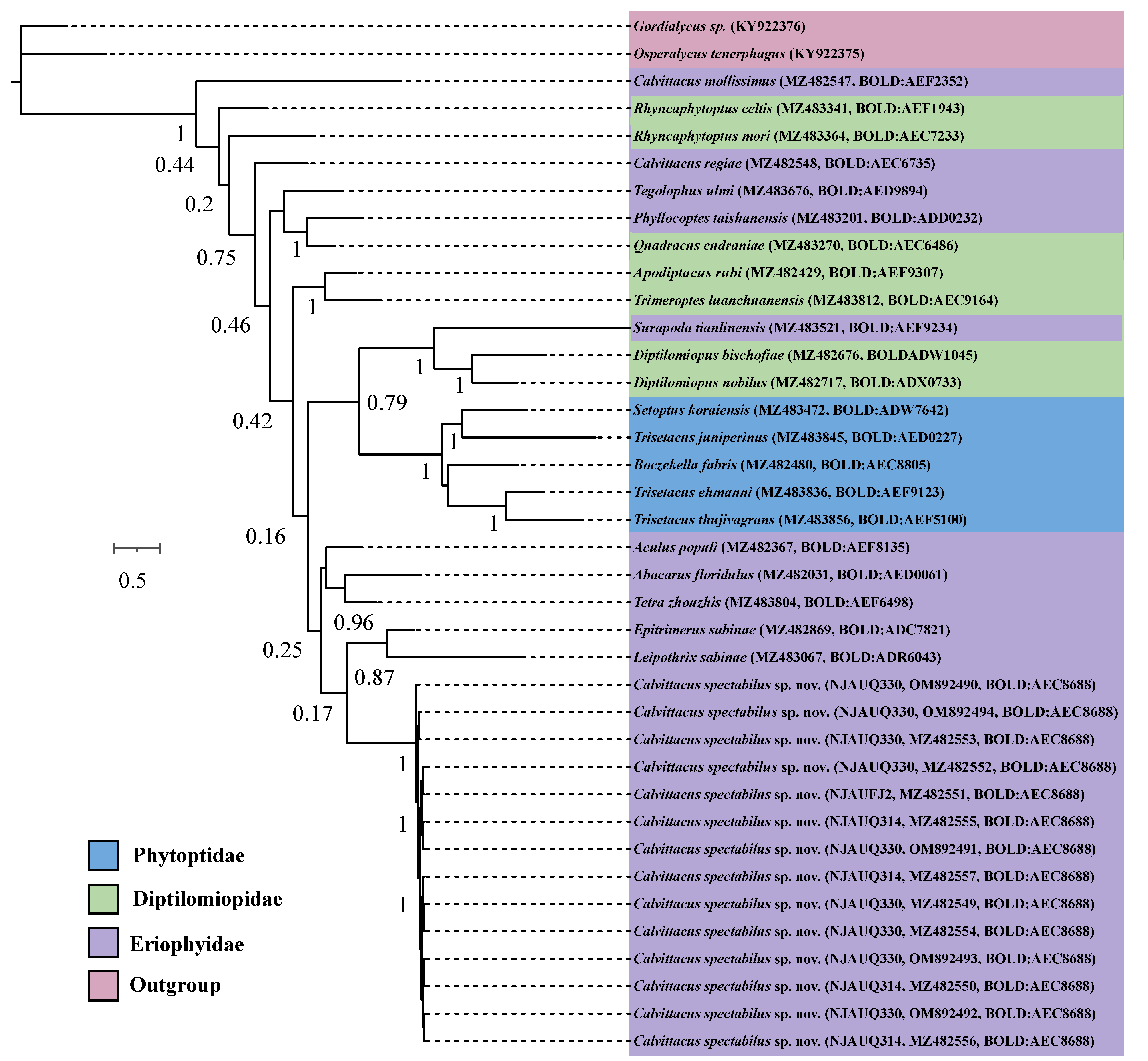 Insects 13 00431 g006