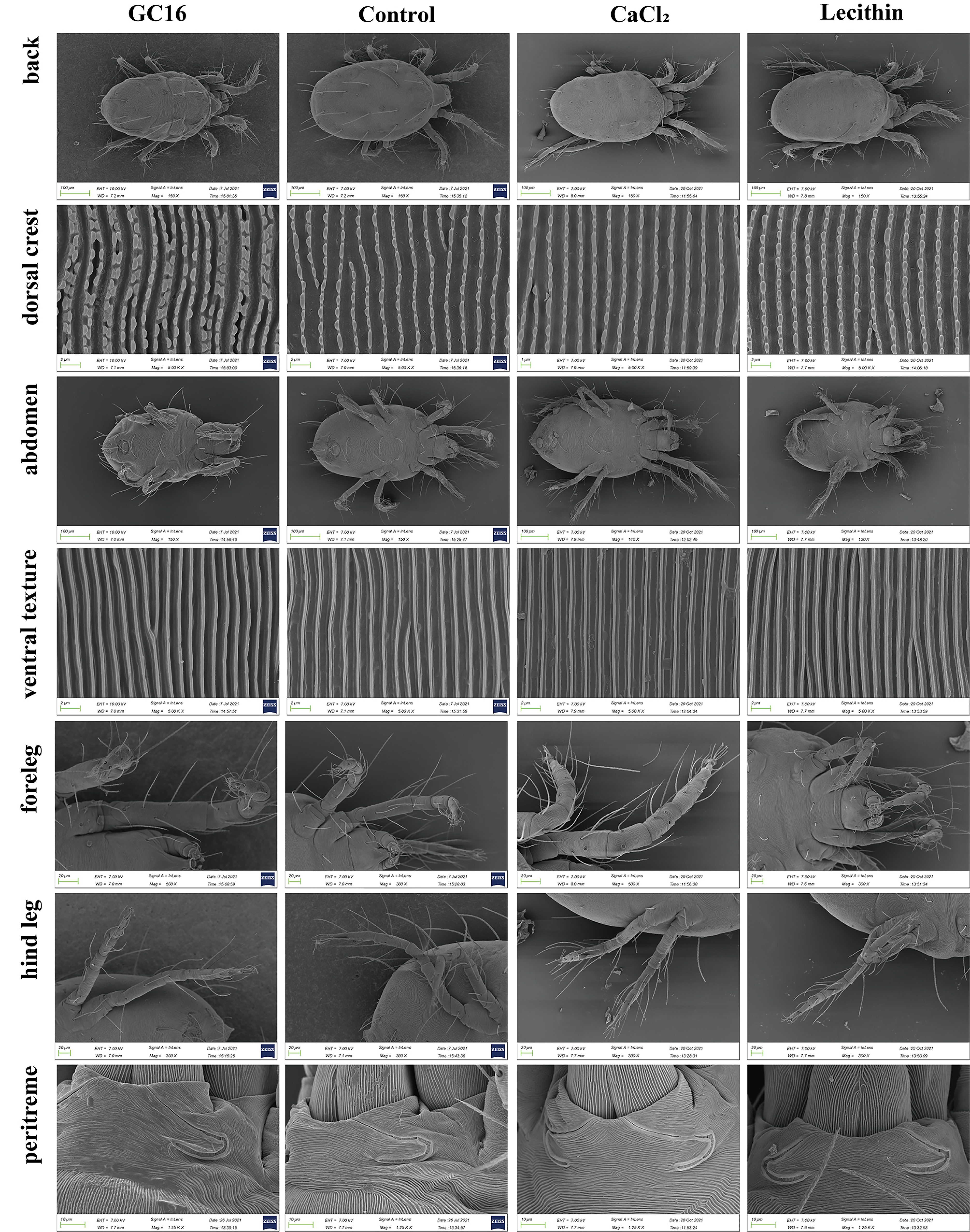 Insects 13 00433 g005