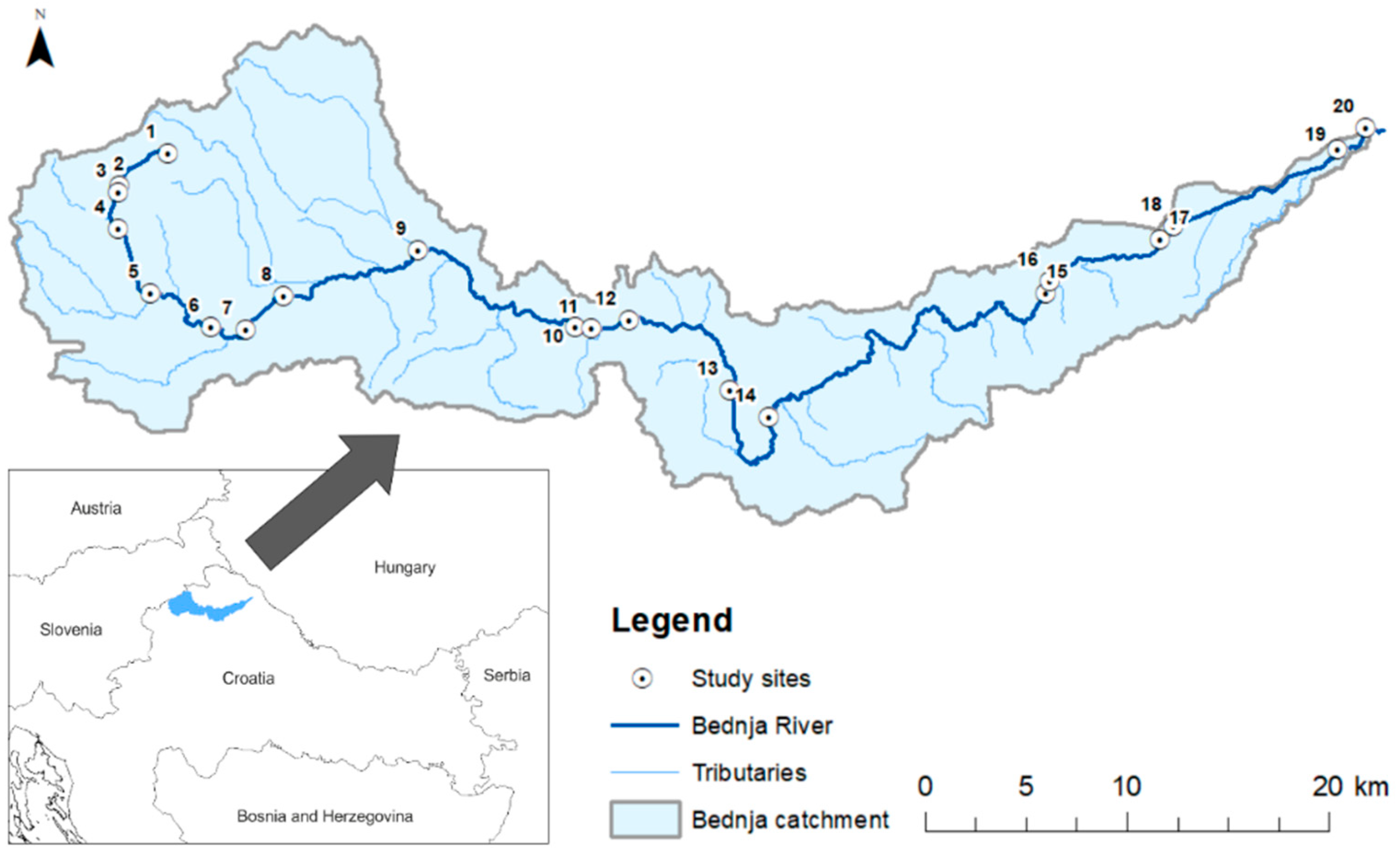 Insects 13 00436 g001