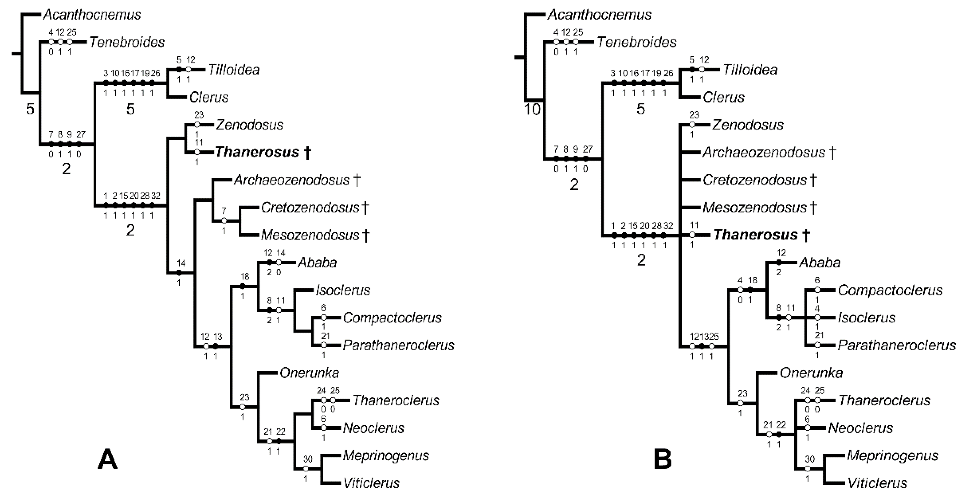 Insects 13 00438 g005