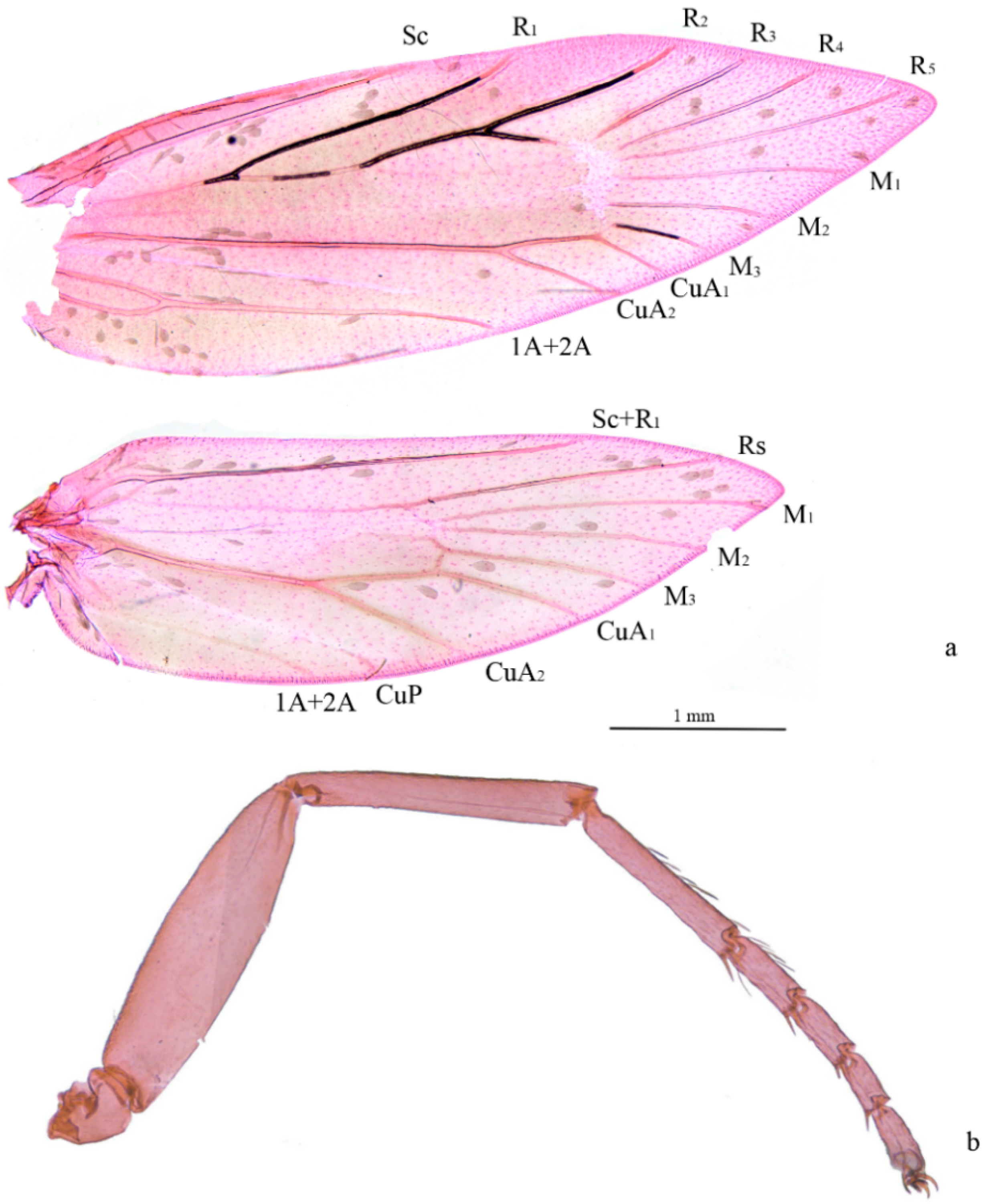 Insects 13 00440 g002 550