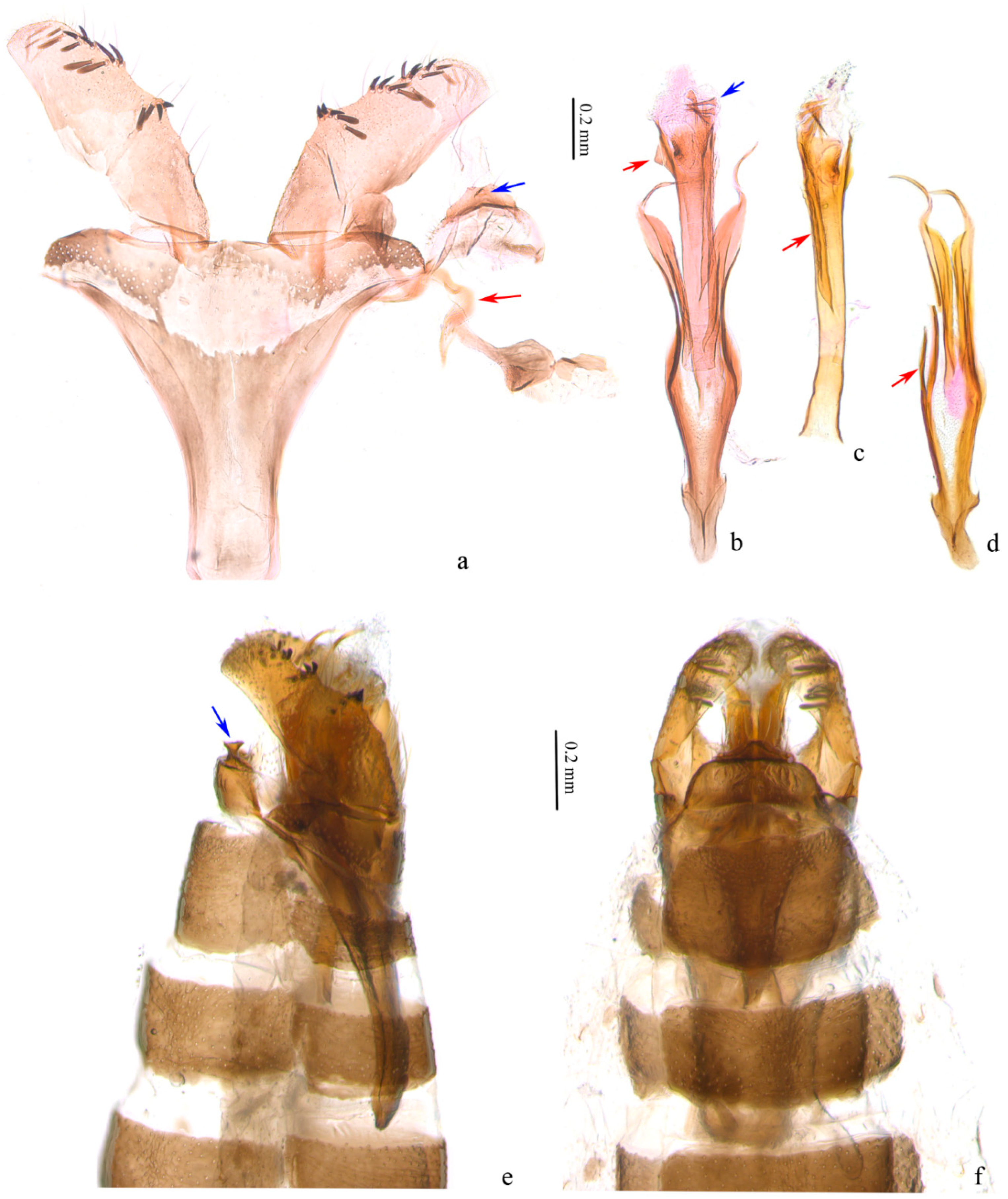 Insects 13 00440 g003 550